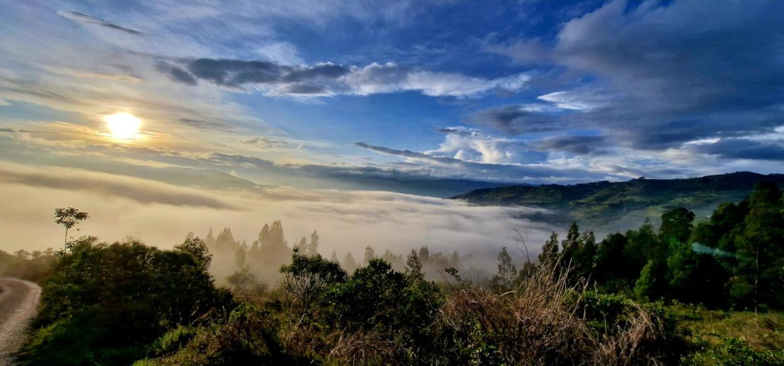 Ecofinca