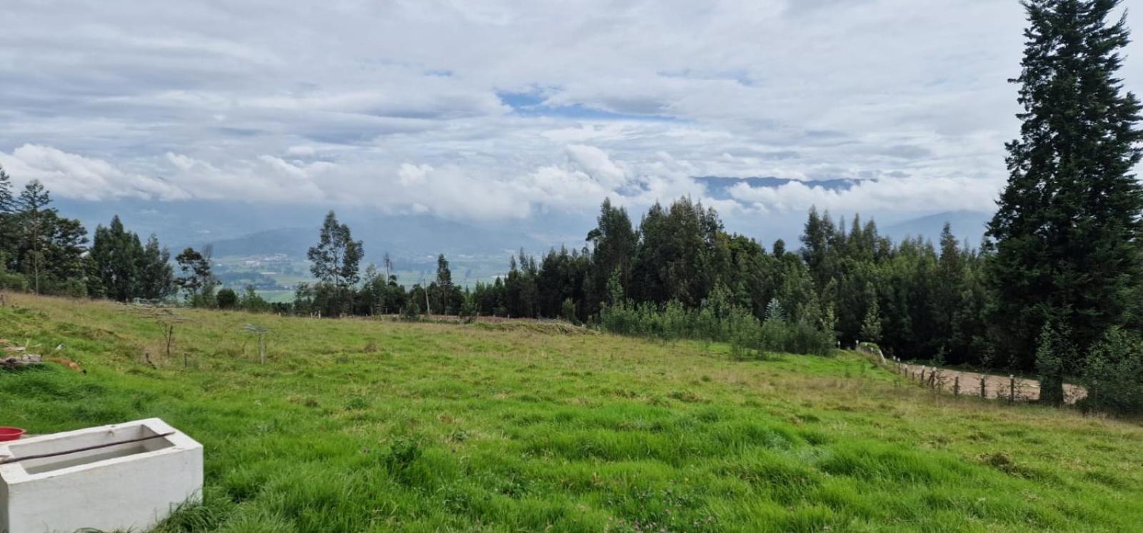 Ecofinca
