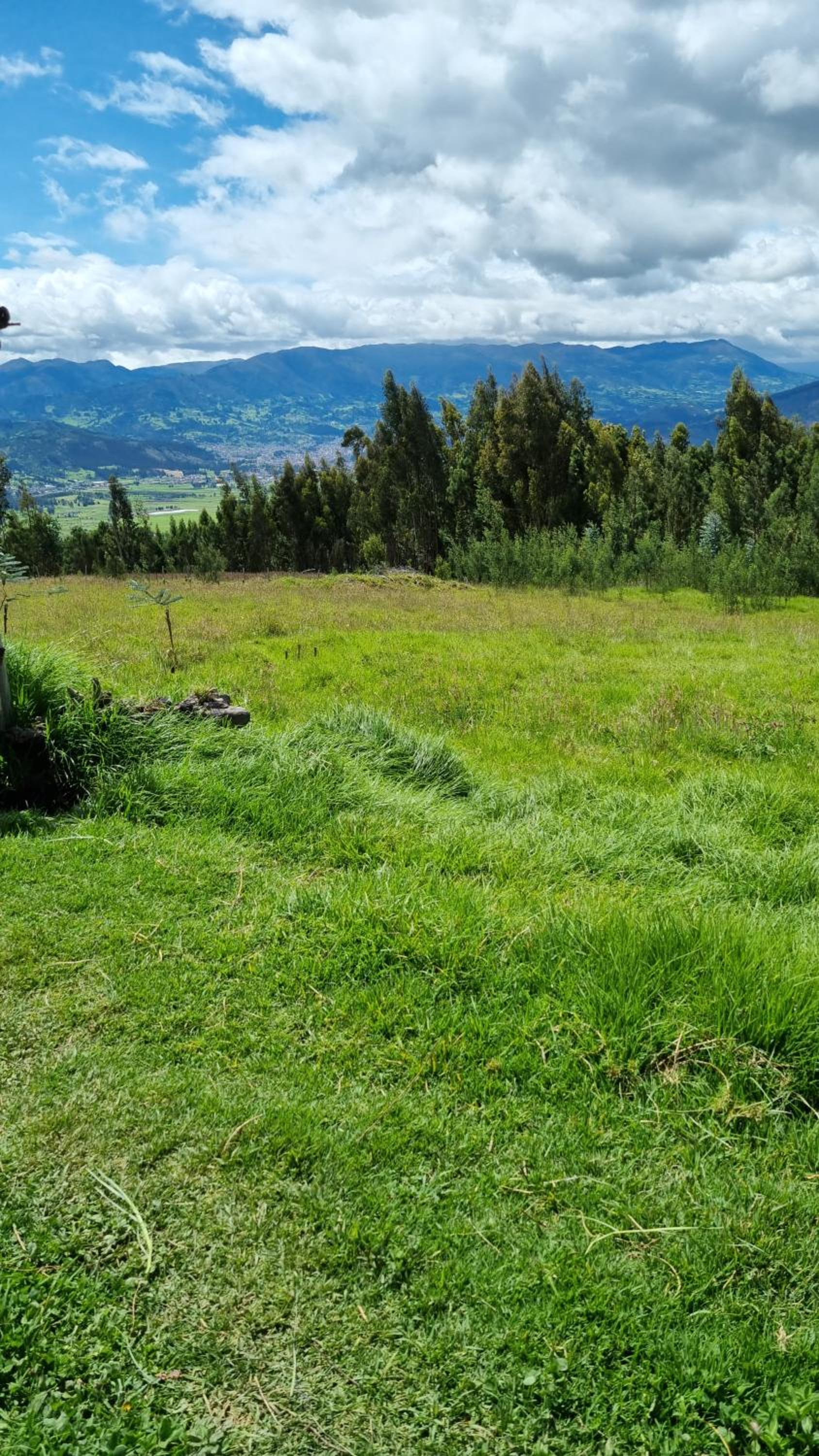 Ecofinca