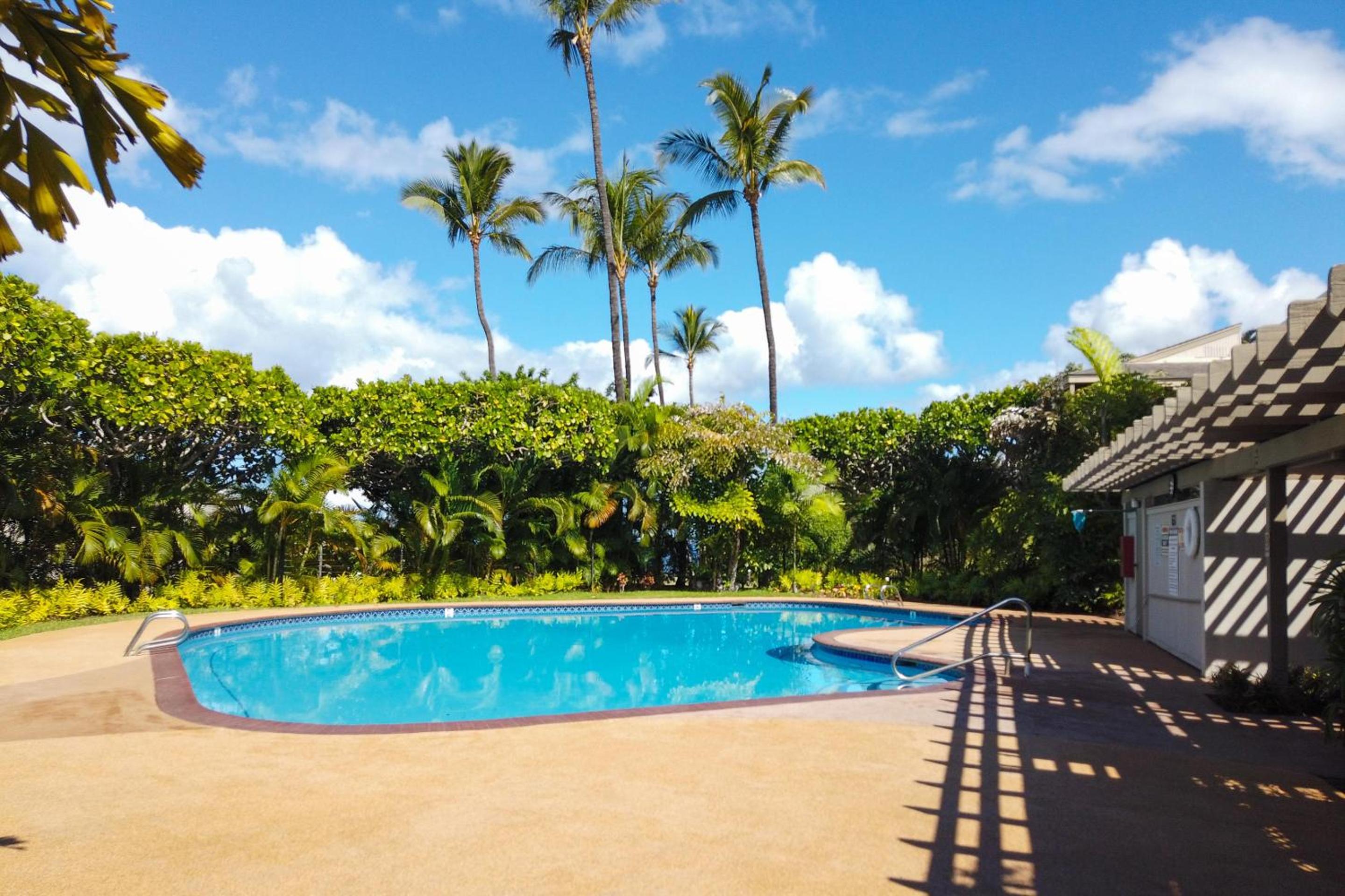Wailea Ekolu 1604 · WE 1604 Wailea 2BD Condo w AC Pool Near Beac