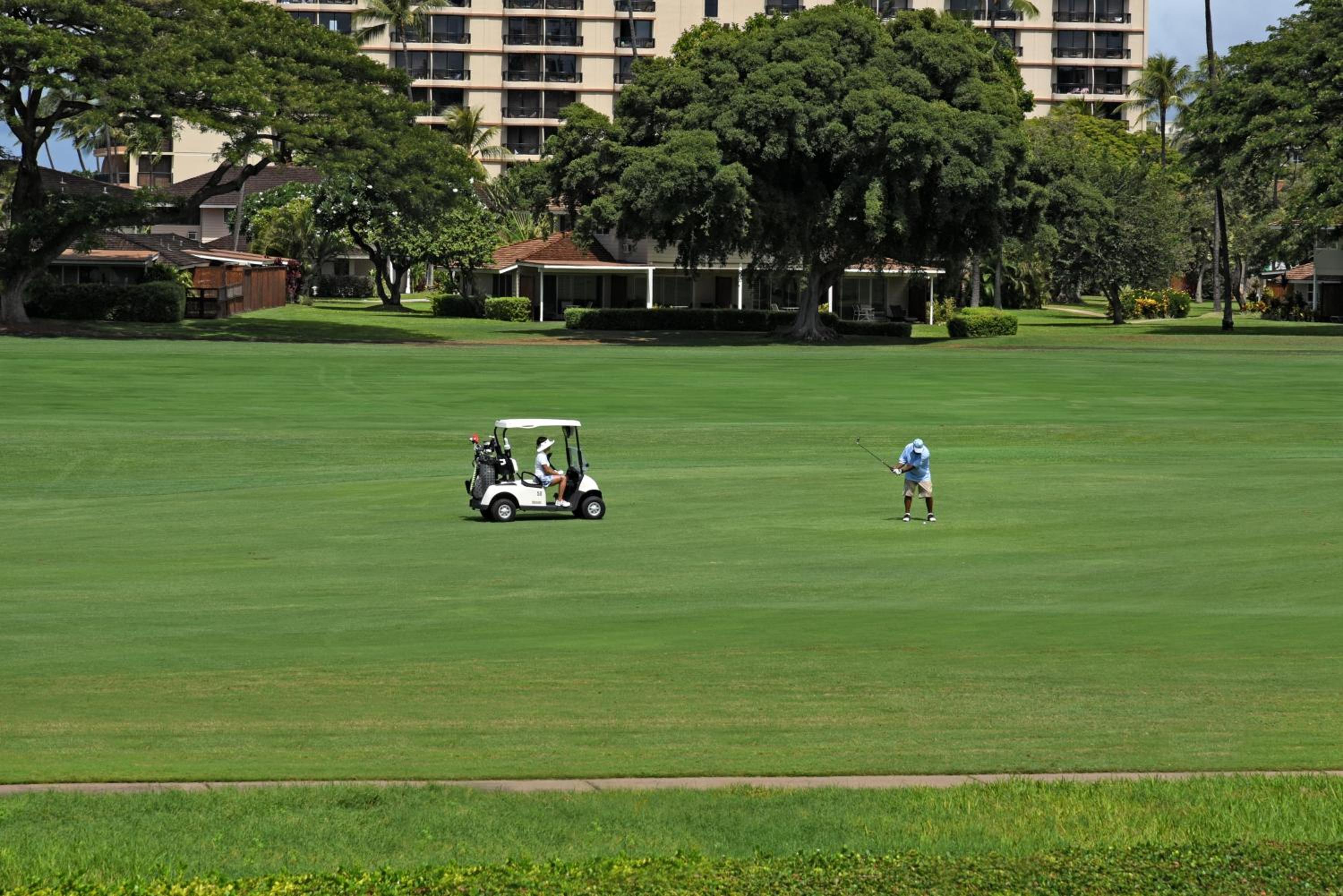 Eldorado A203 · EL A203 Spacious 1BD on Kaanapali Golf Course w