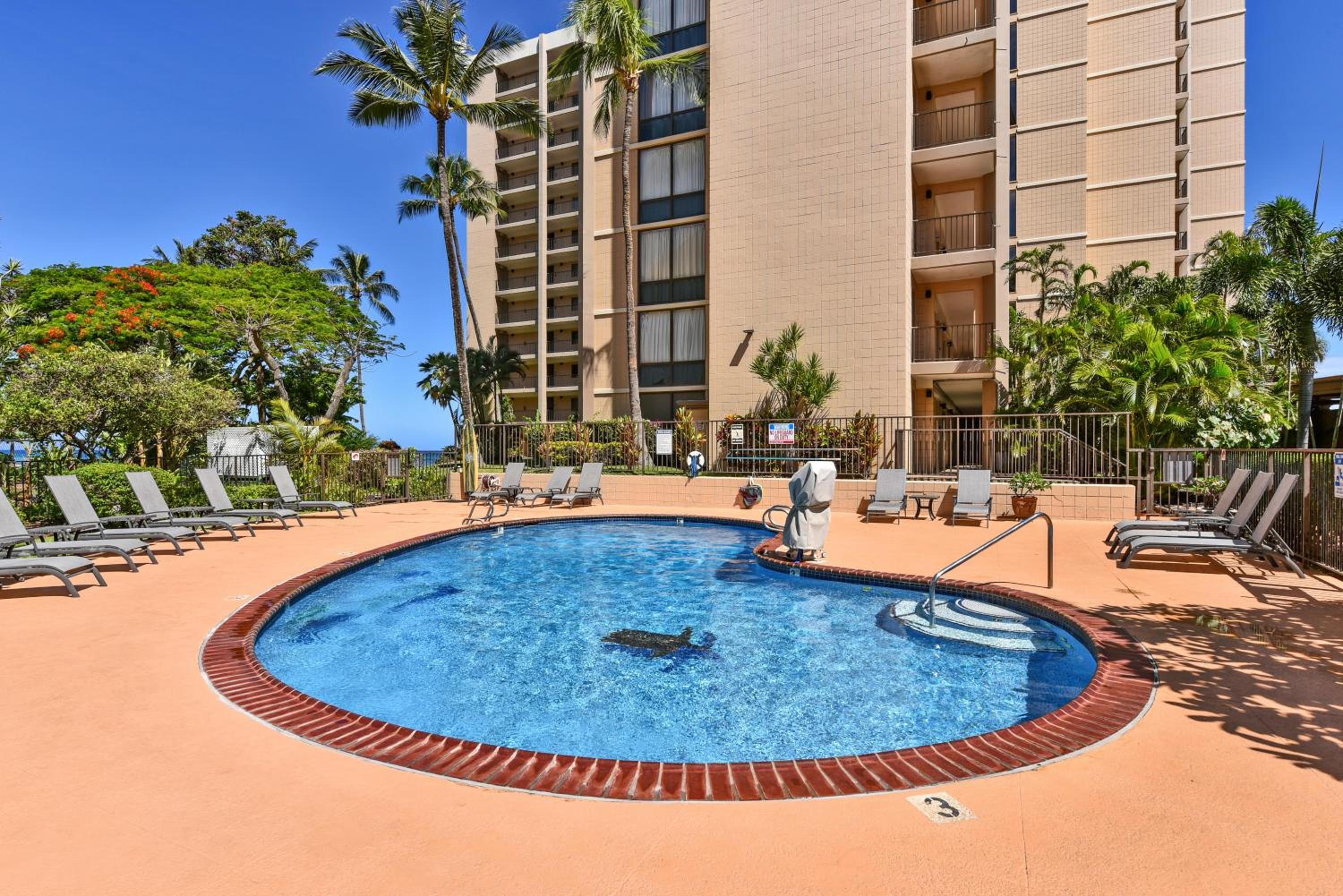 Valley Isle 304 · VI 304 Beautifully Decorated OceanFront Condo