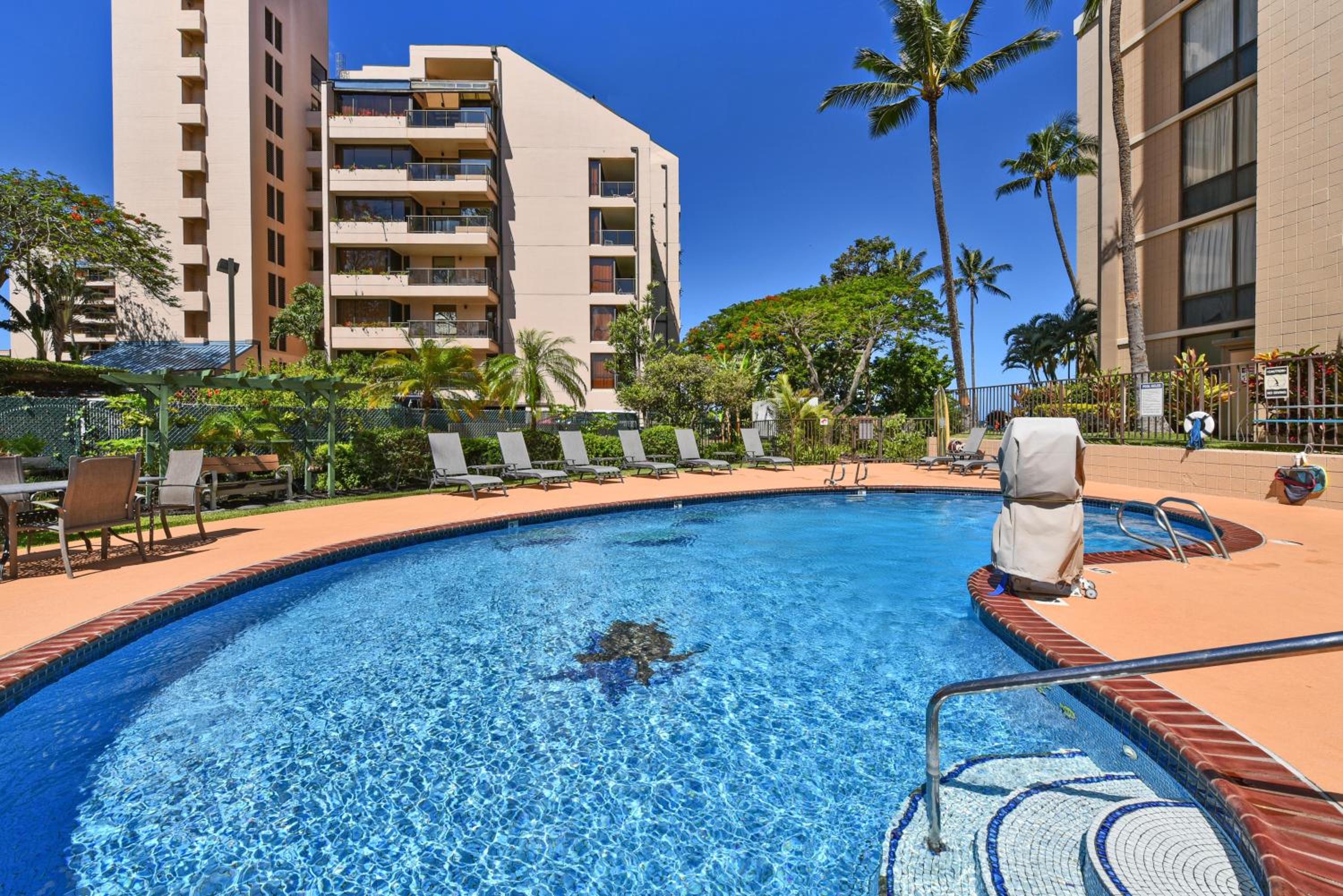 Valley Isle 208 · VI208 Remodeled Maui OceanFront 2BD w Ocean Vi