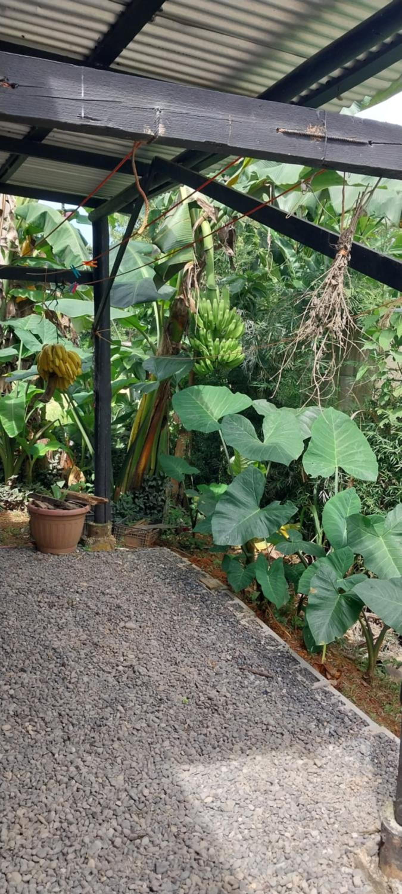 La dulce Casita