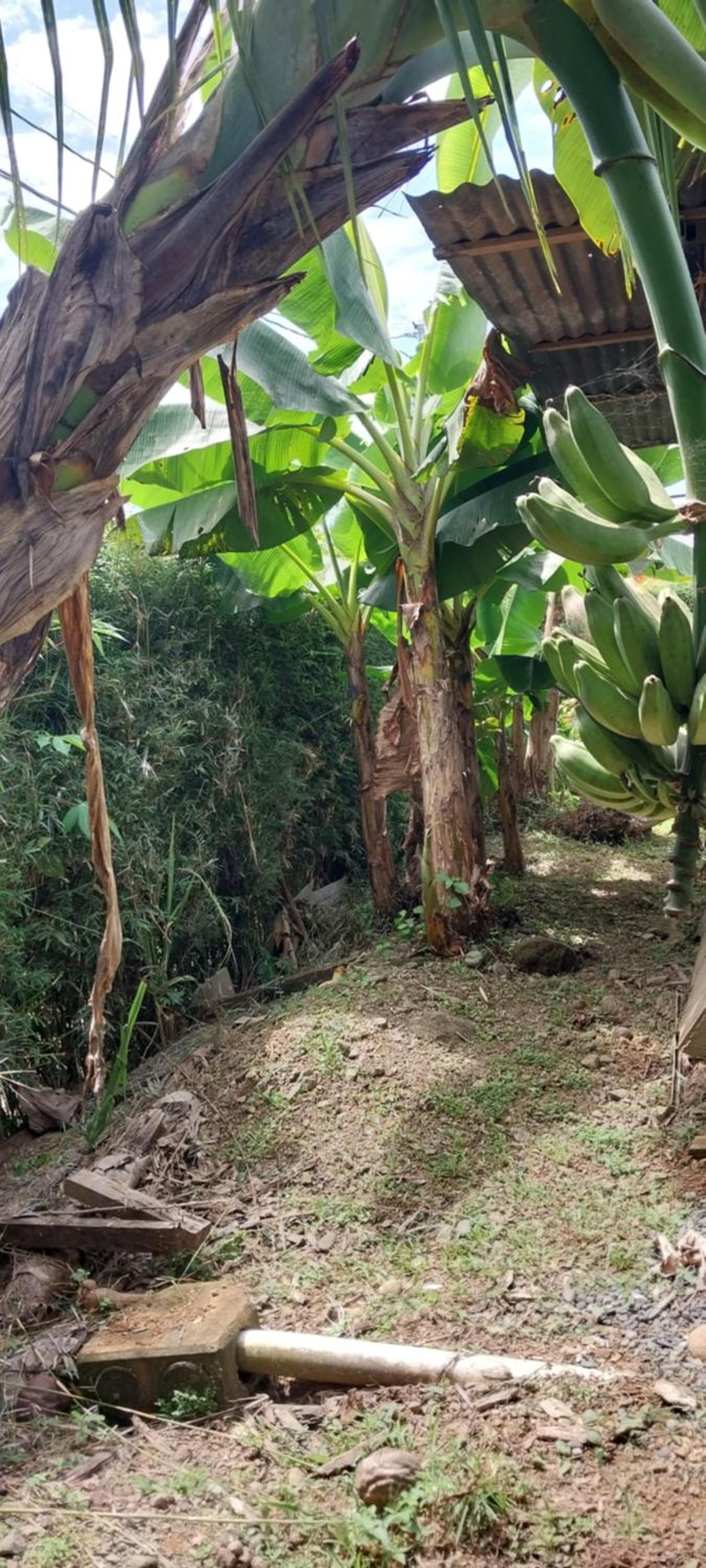 La dulce Casita