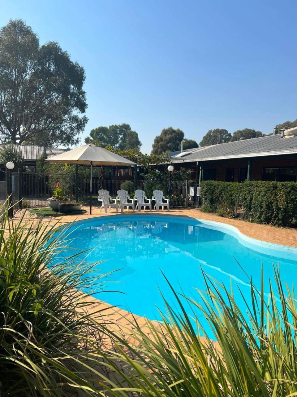 Milawa Motel view 2