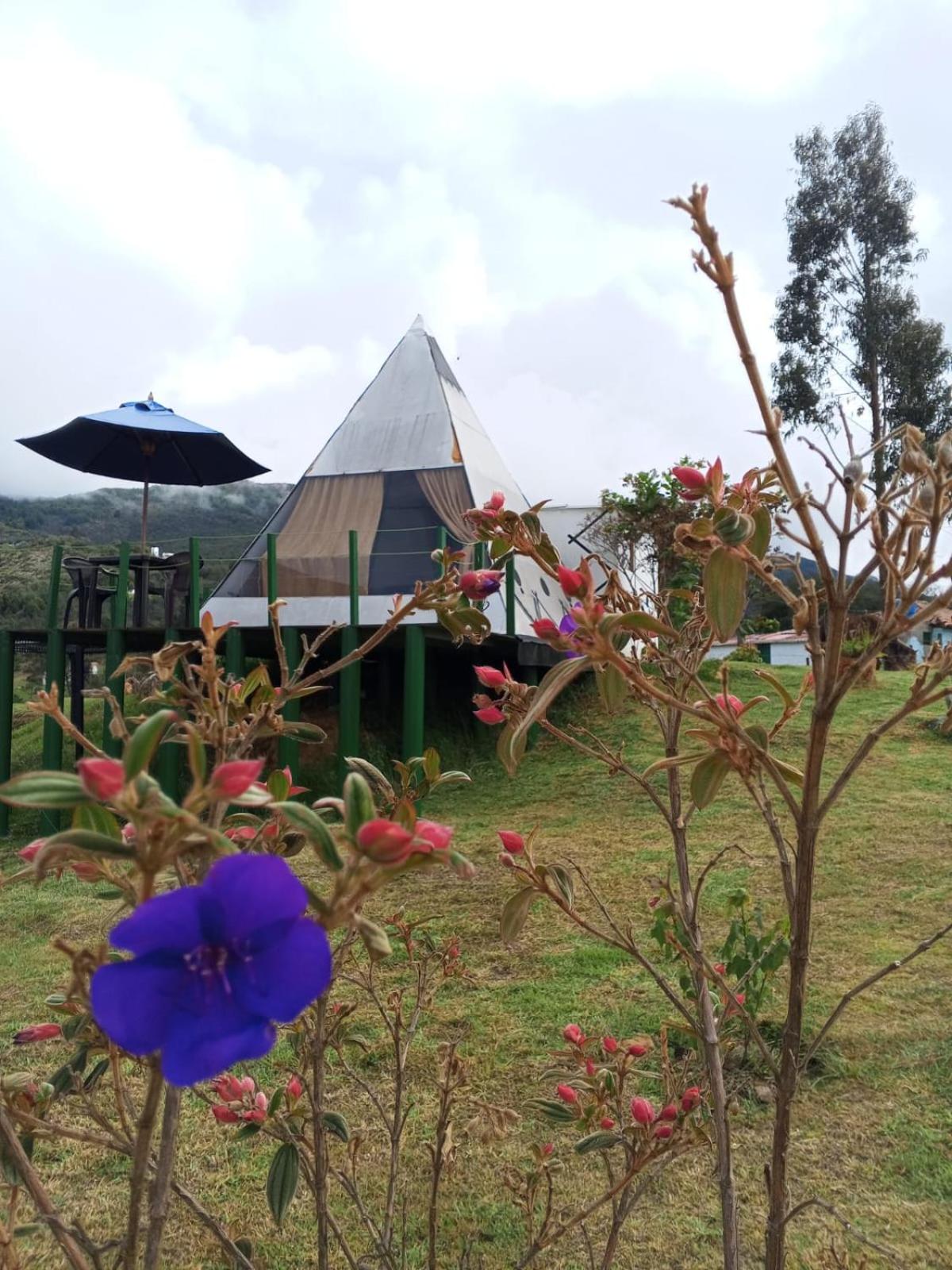 Glamping Mafer 4 Tipi pequeño