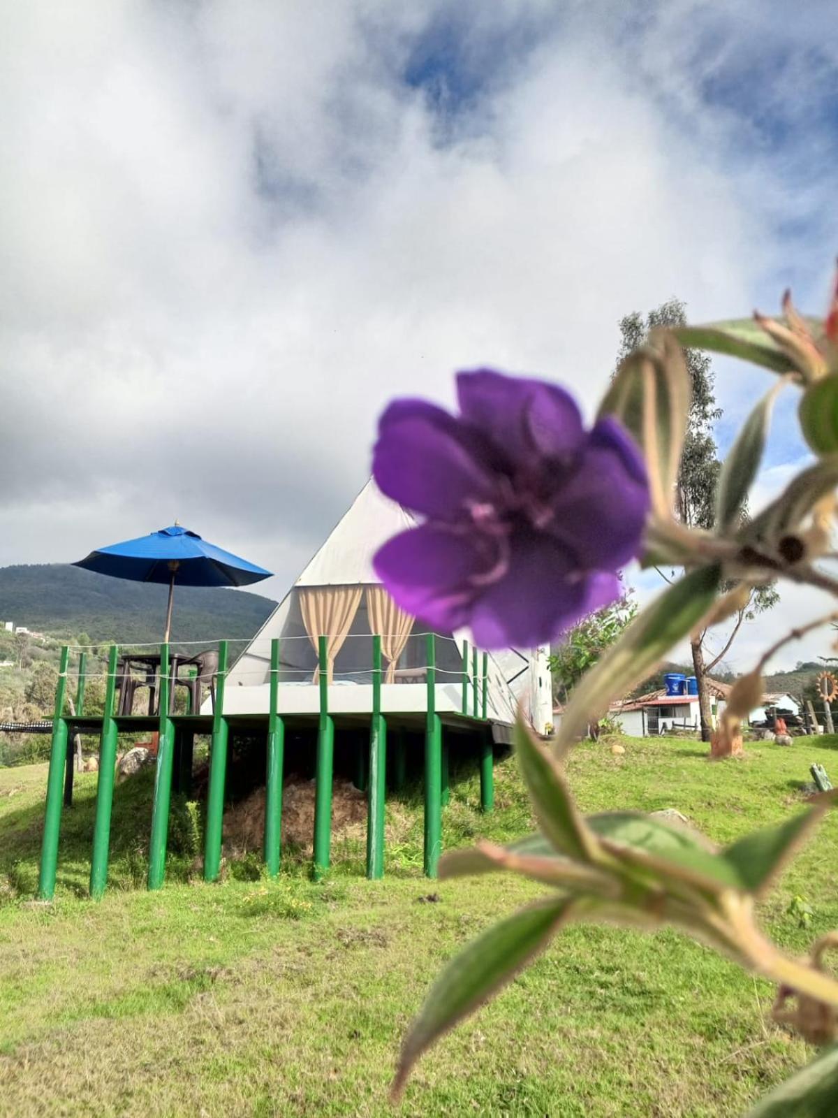 Glamping Mafer 4 Tipi pequeño