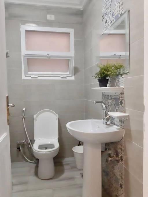 Rehab cozy apartment - New Cairo