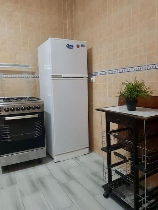 Rehab cozy apartment - New Cairo