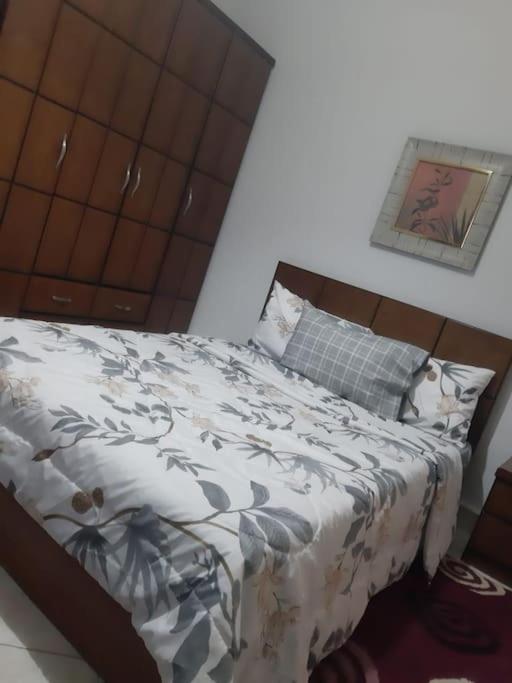 Rehab cozy apartment - New Cairo