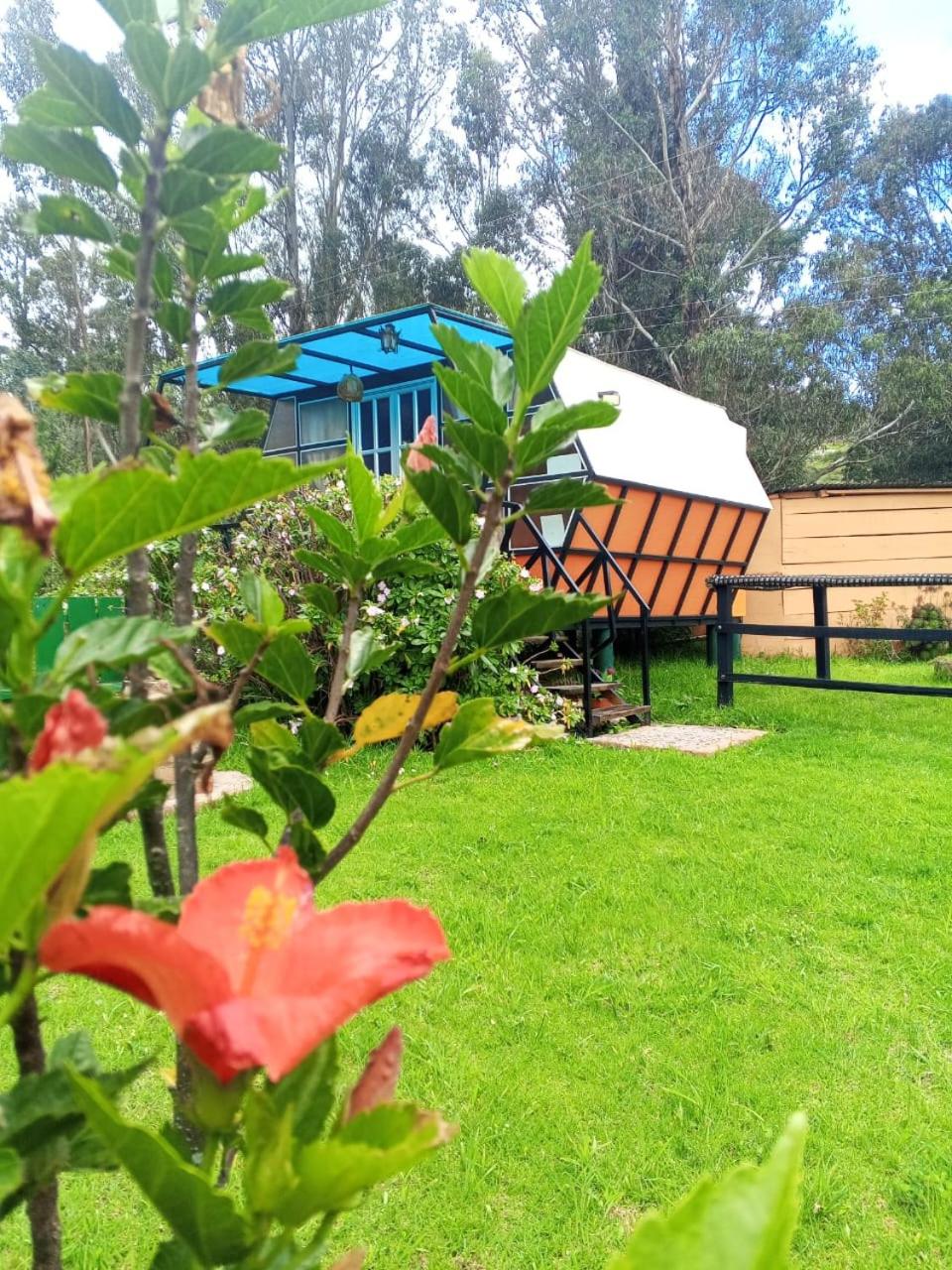 Glamping Mafer 1 Hexagonal