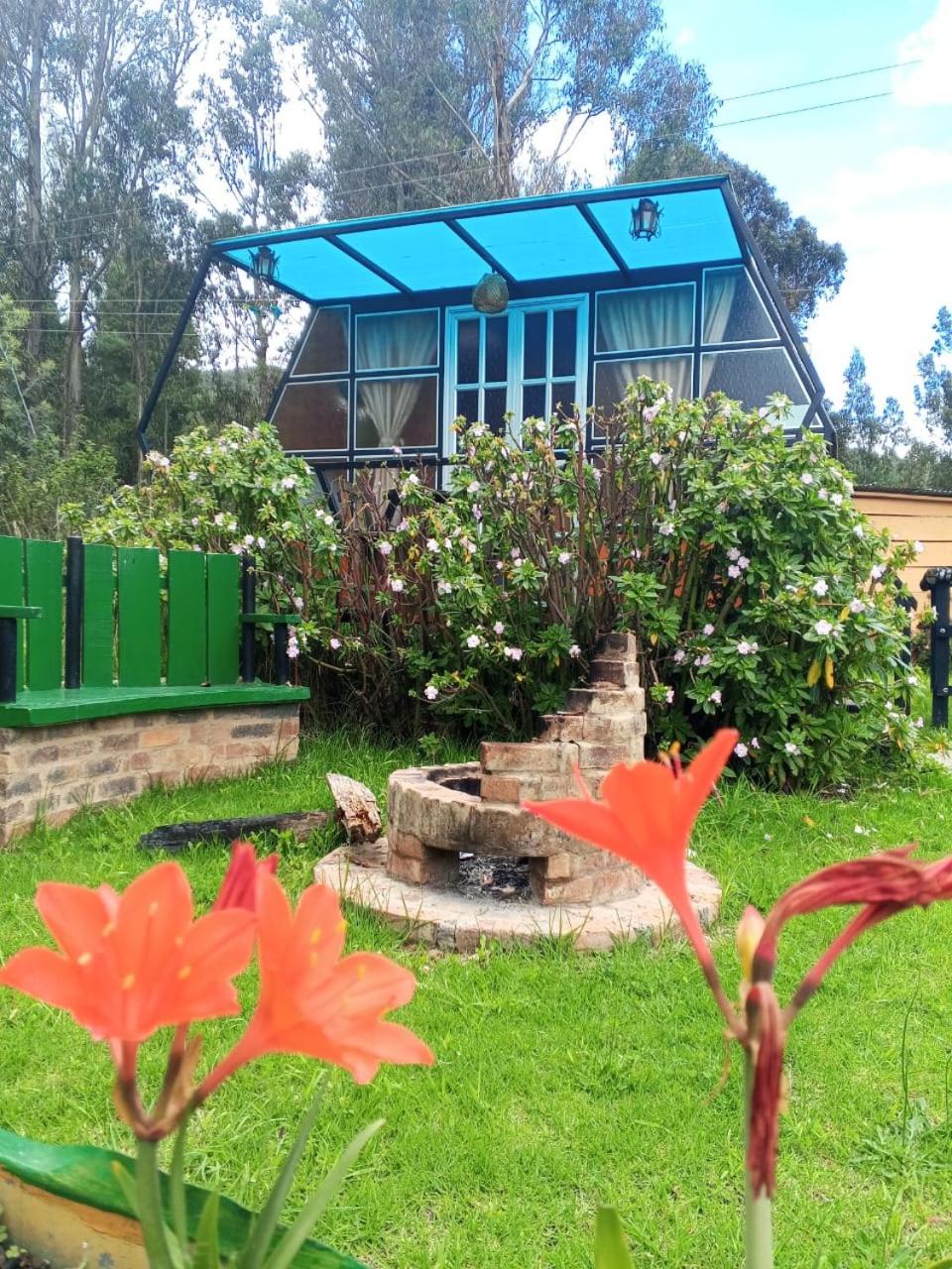Glamping Mafer 1 Hexagonal