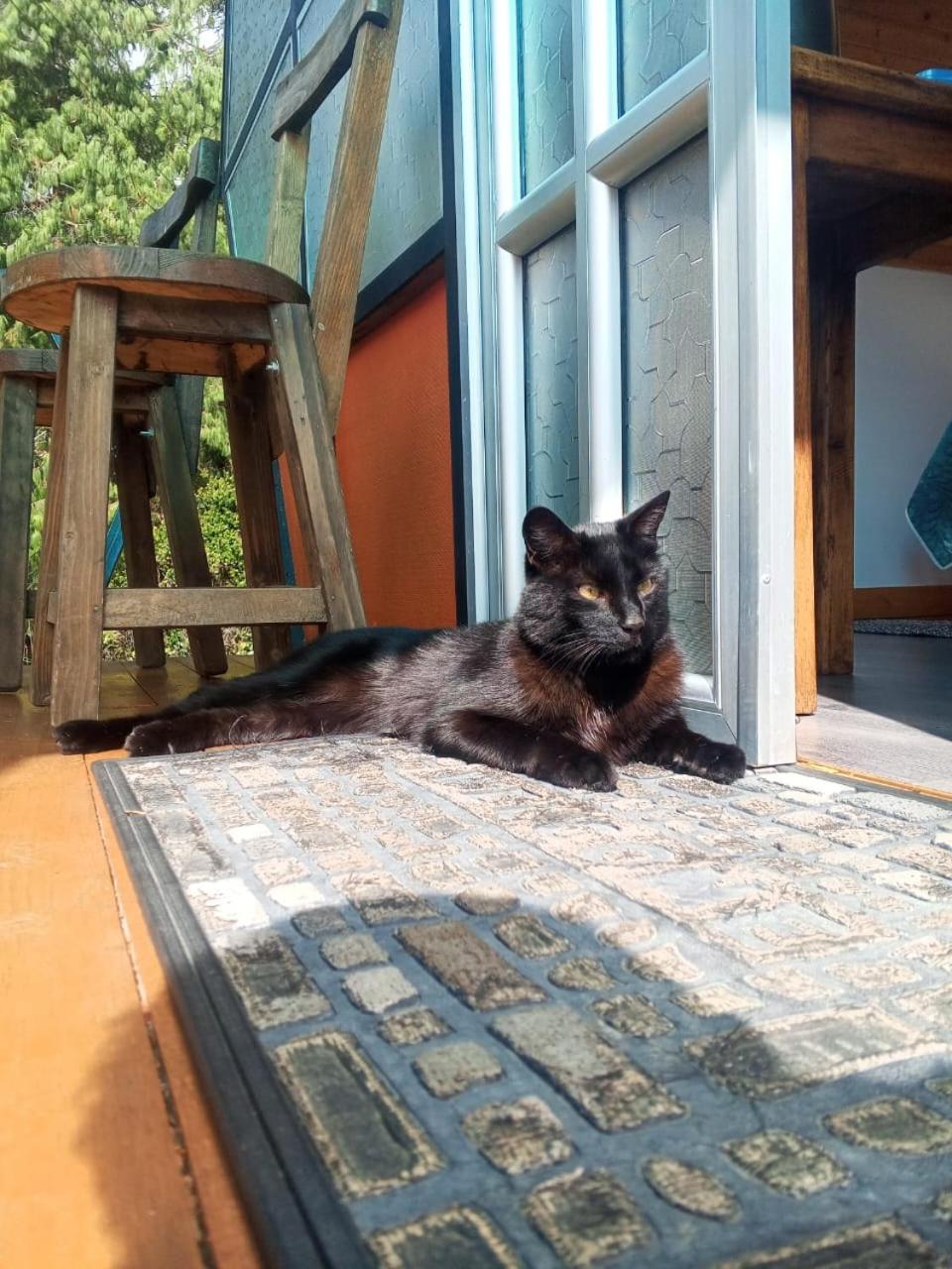 Glamping Mafer 1 Hexagonal