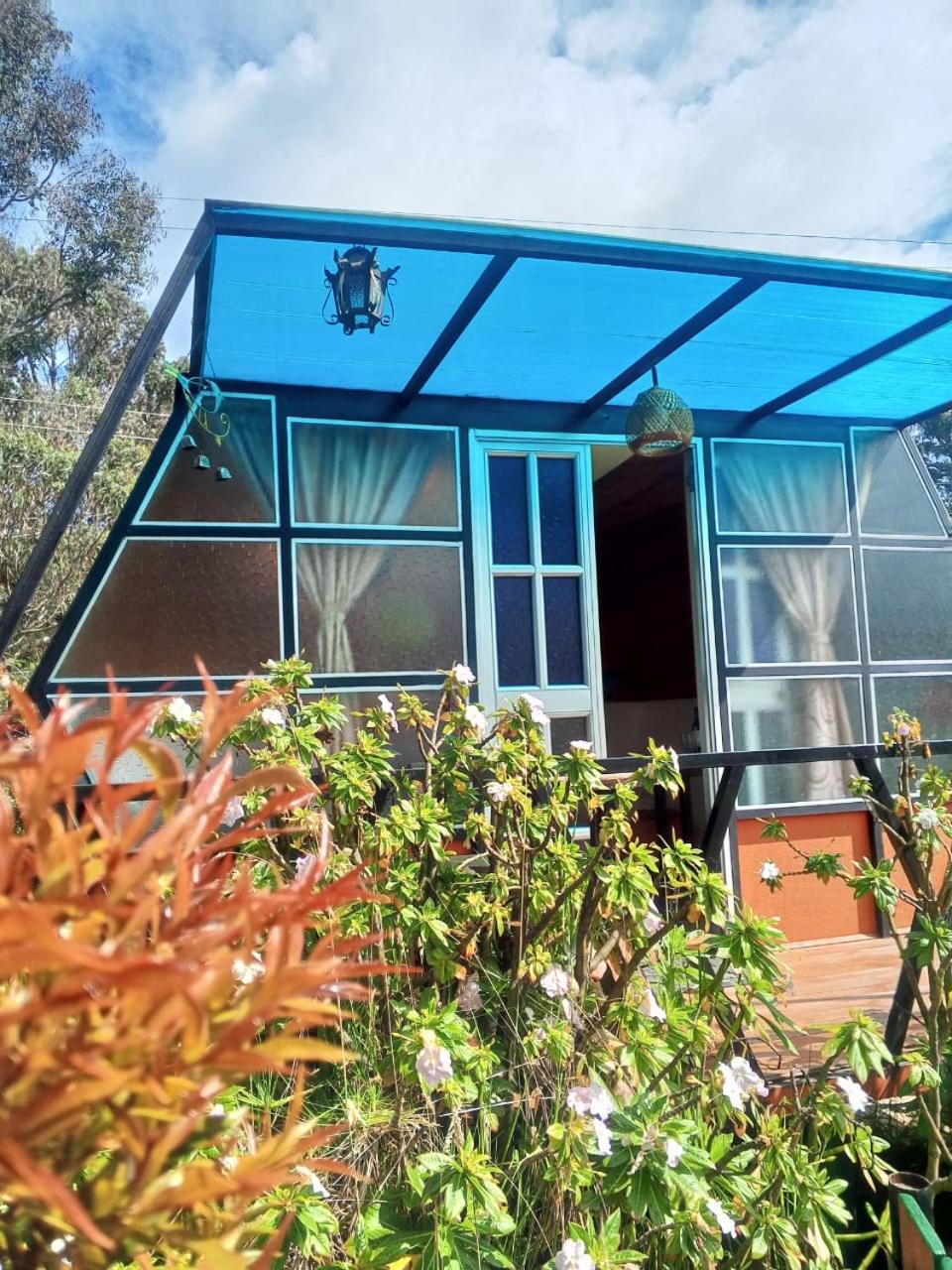 Glamping Mafer 1 Hexagonal