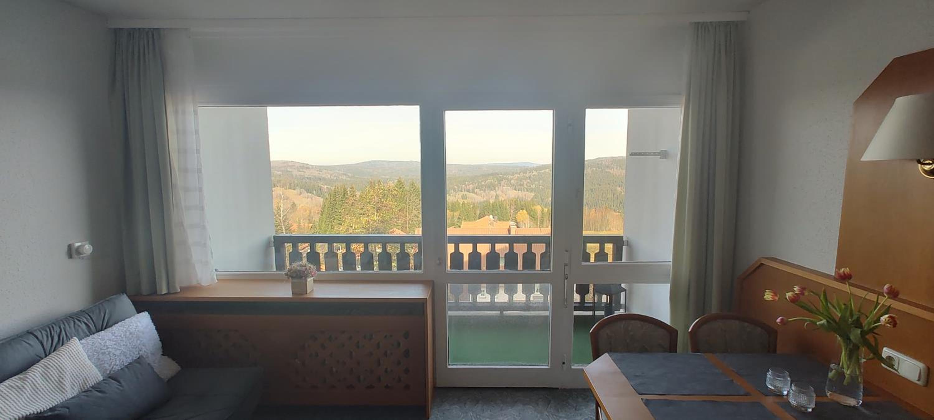 Two Apartaments Almberg - Mitterdorf-Mitterfirmiansreut - Property Image 14