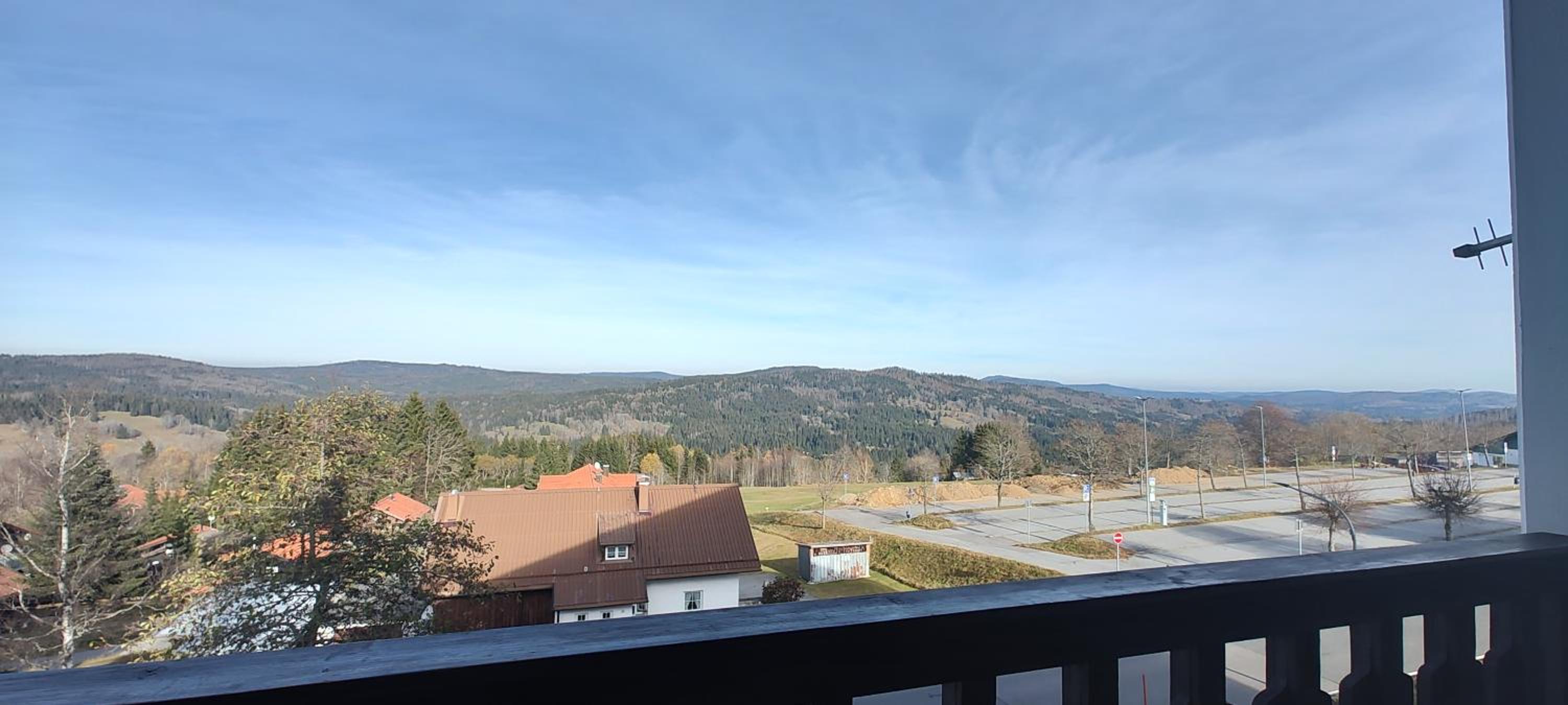 Two Apartaments Almberg - Mitterdorf-Mitterfirmiansreut - Property Image 7