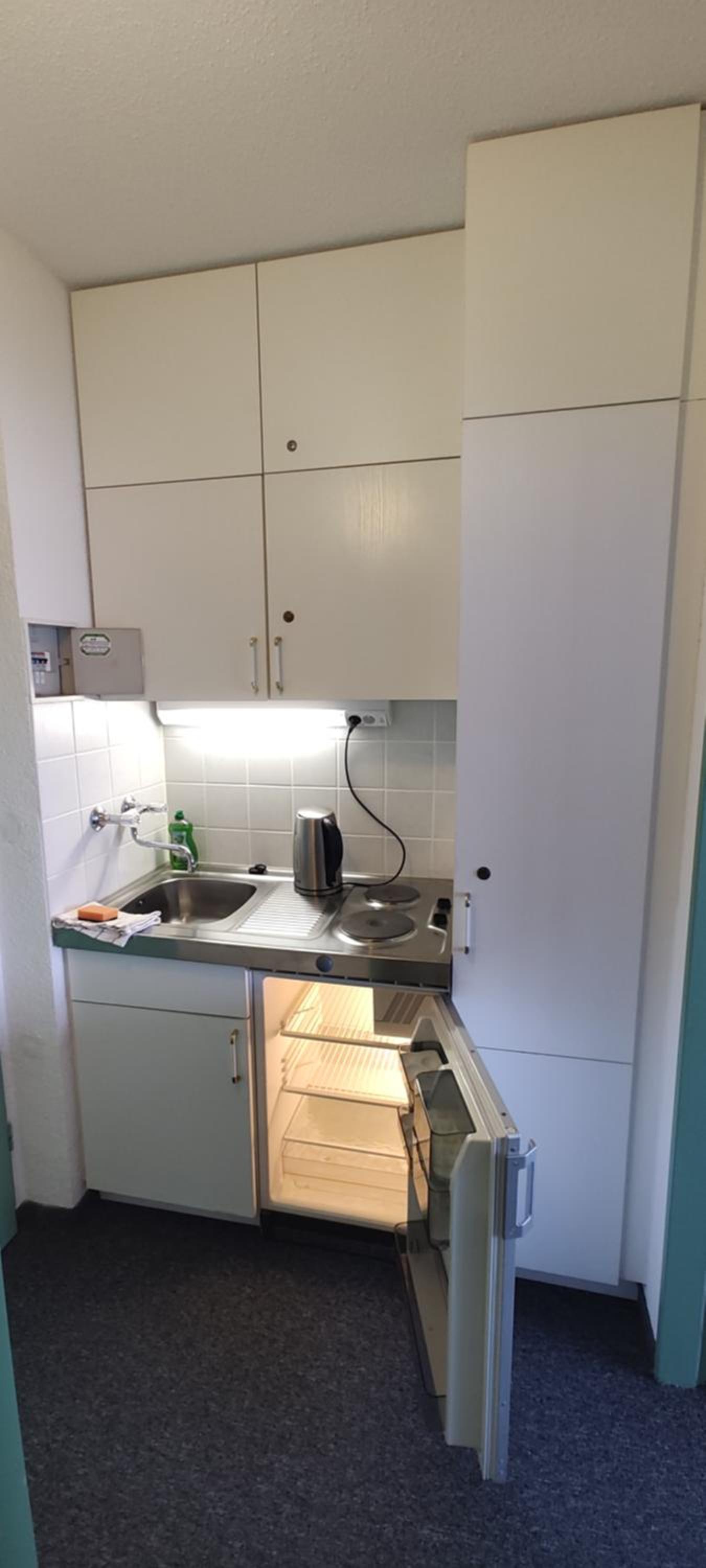Two Apartaments Almberg - Mitterdorf-Mitterfirmiansreut - Property Image 17
