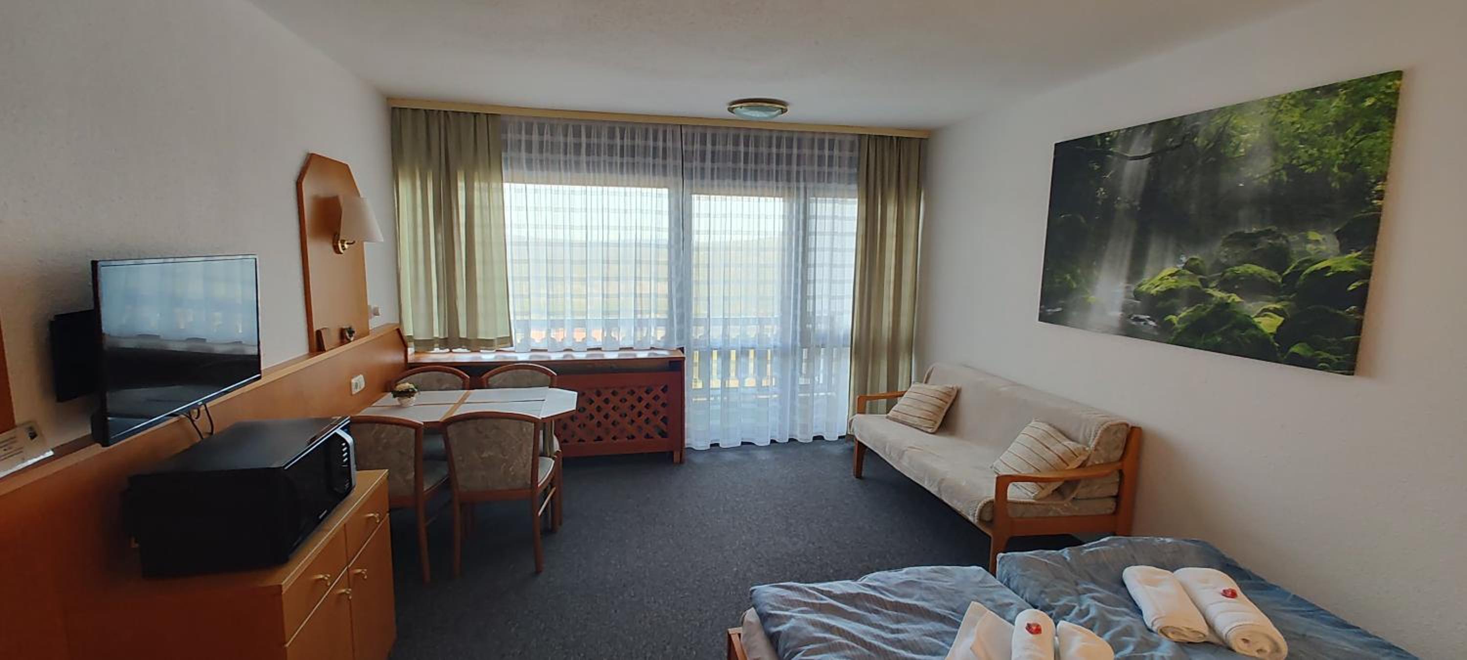 Two Apartaments Almberg - Mitterdorf-Mitterfirmiansreut - Property Image 10