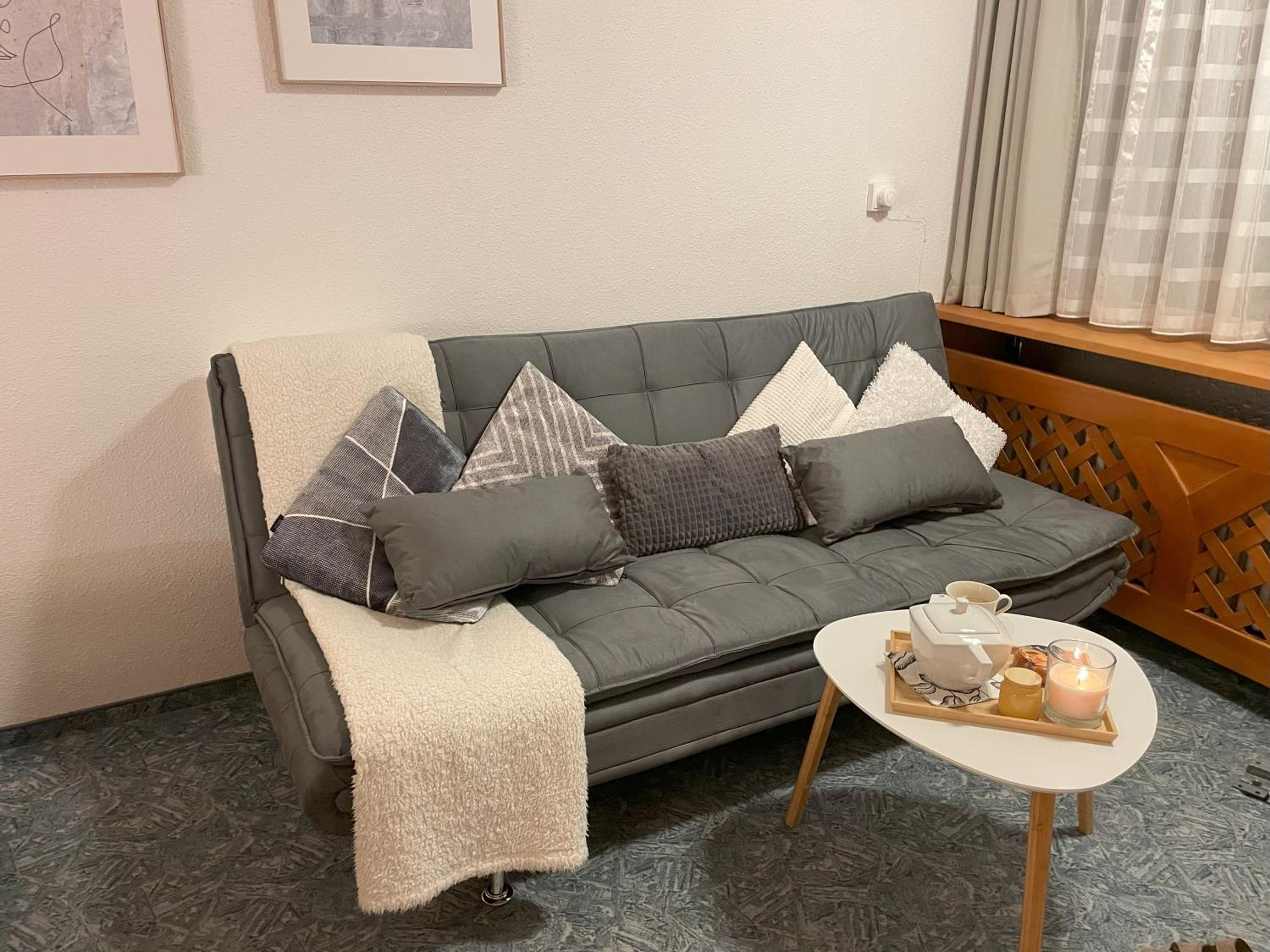 Two Apartaments Almberg - Mitterdorf-Mitterfirmiansreut - Property Image 11