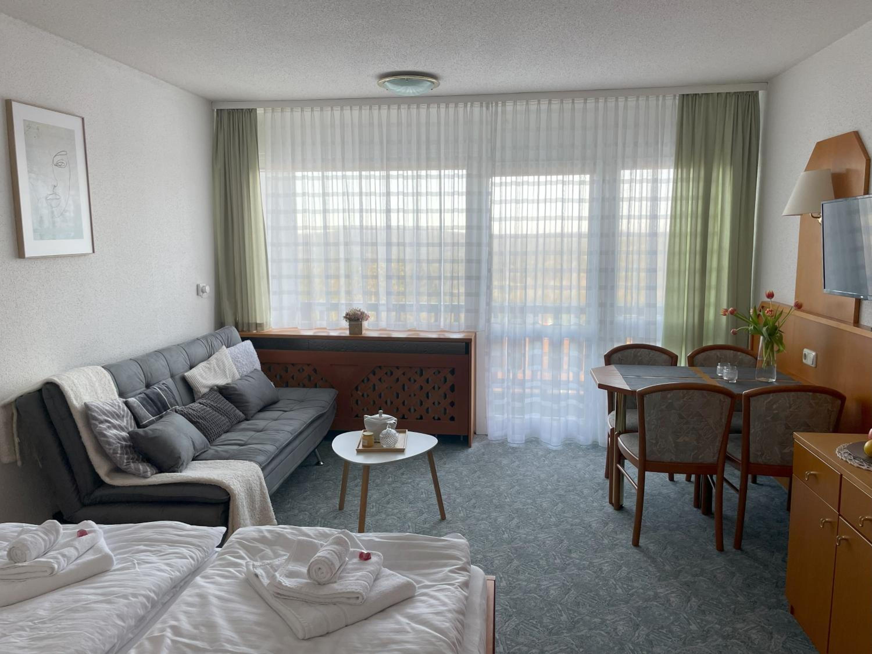 Two Apartaments Almberg - Mitterdorf-Mitterfirmiansreut - Property Image 2
