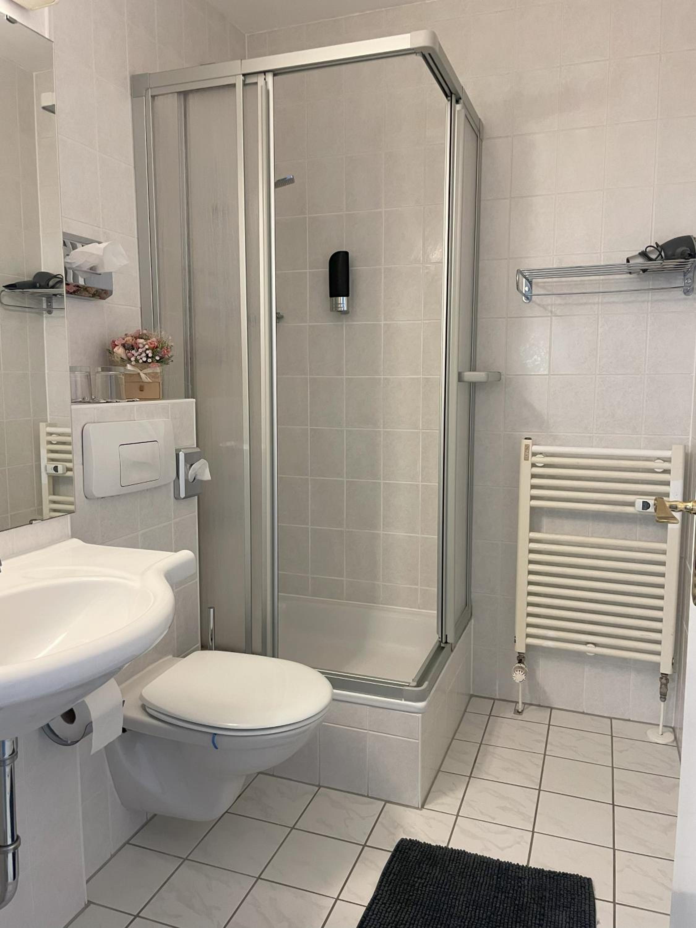 Two Apartaments Almberg - Mitterdorf-Mitterfirmiansreut - Property Image 24