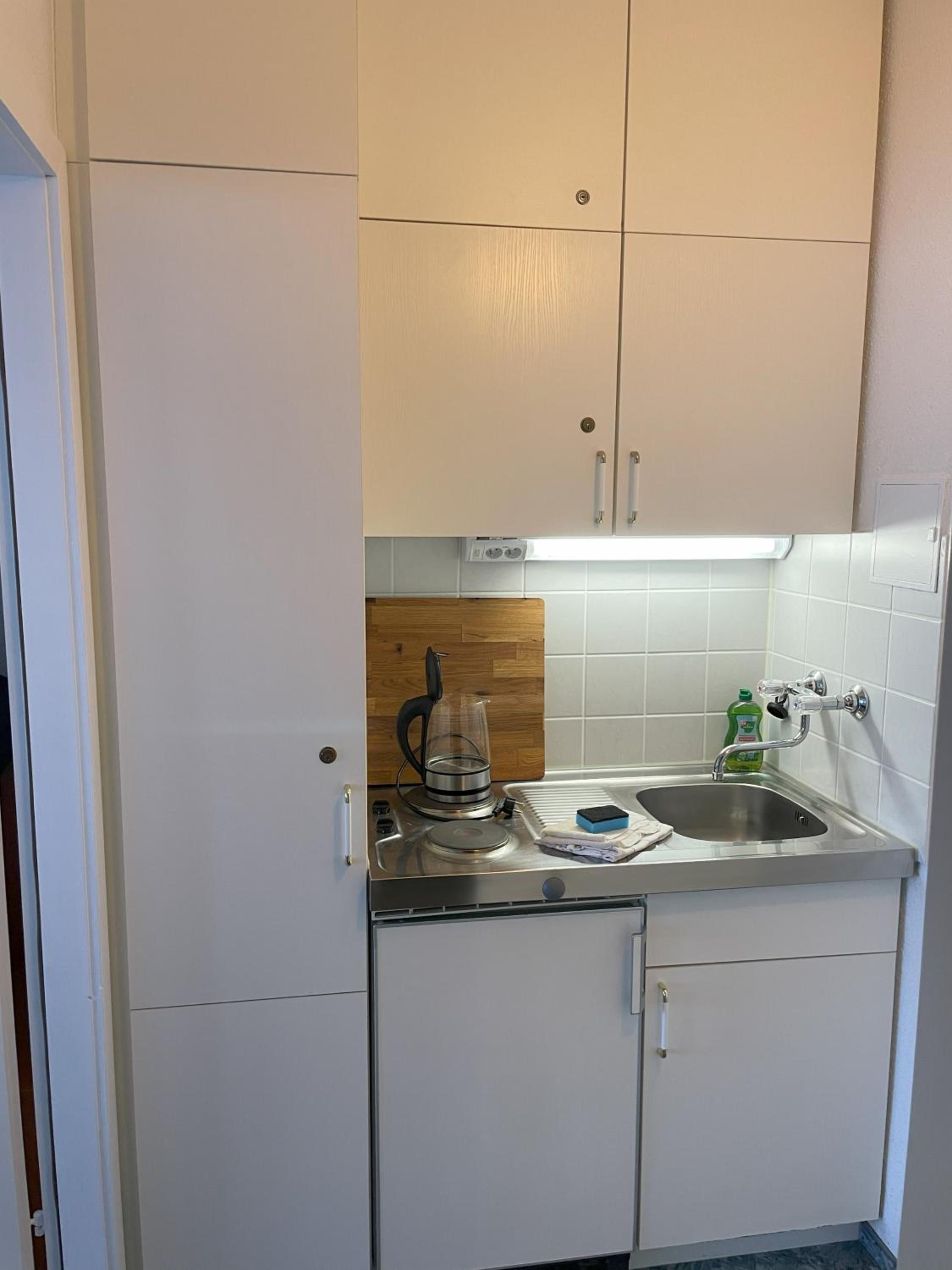 Two Apartaments Almberg - Mitterdorf-Mitterfirmiansreut - Property Image 15