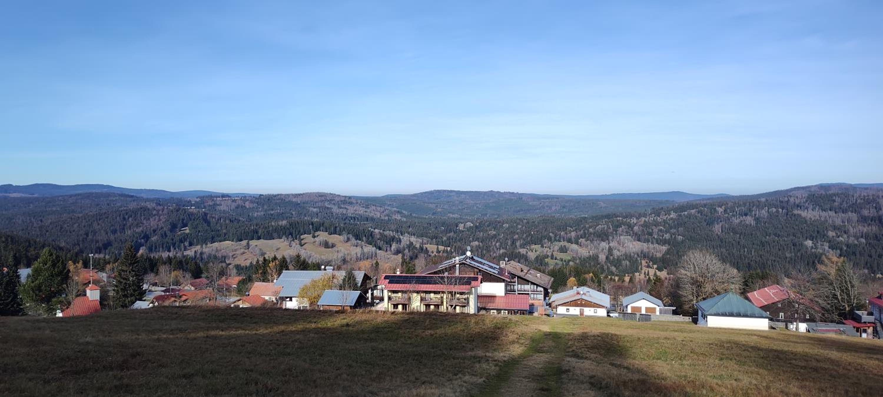 Two Apartaments Almberg - Mitterdorf-Mitterfirmiansreut - Property Image 49