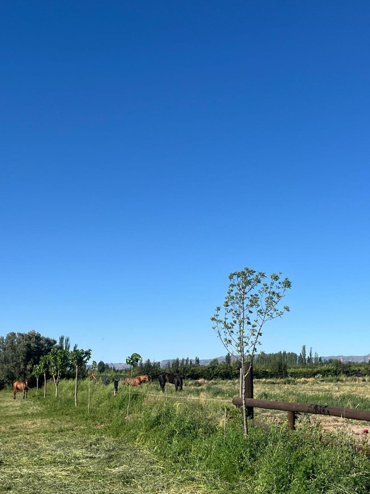 Casa con vista a las montañas San Rafael Mendoza!