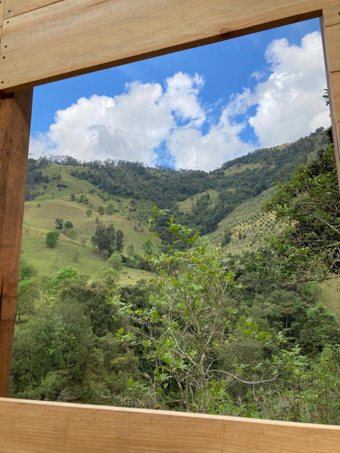 Villacaima - La Martina