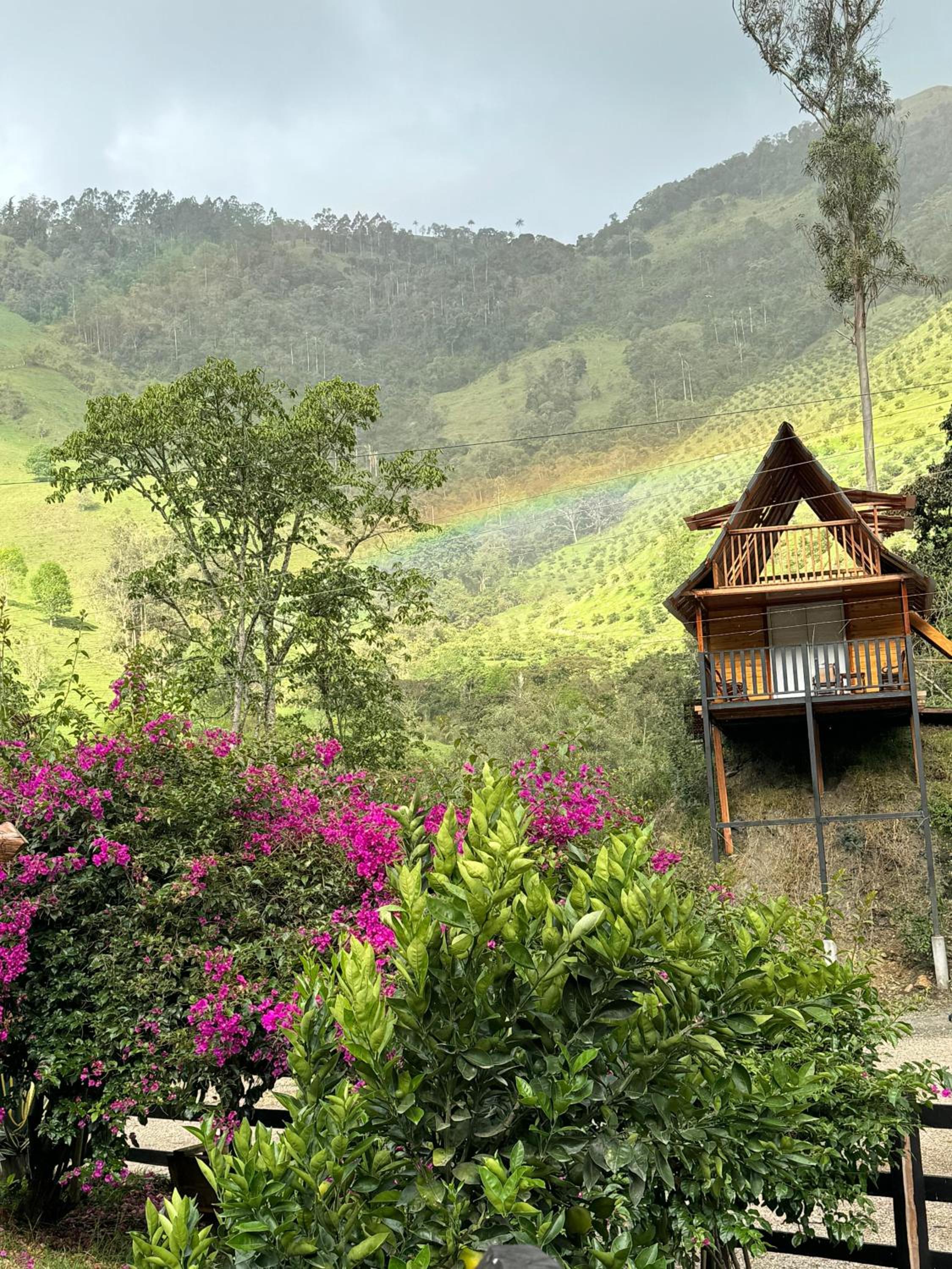 Villacaima - La Martina