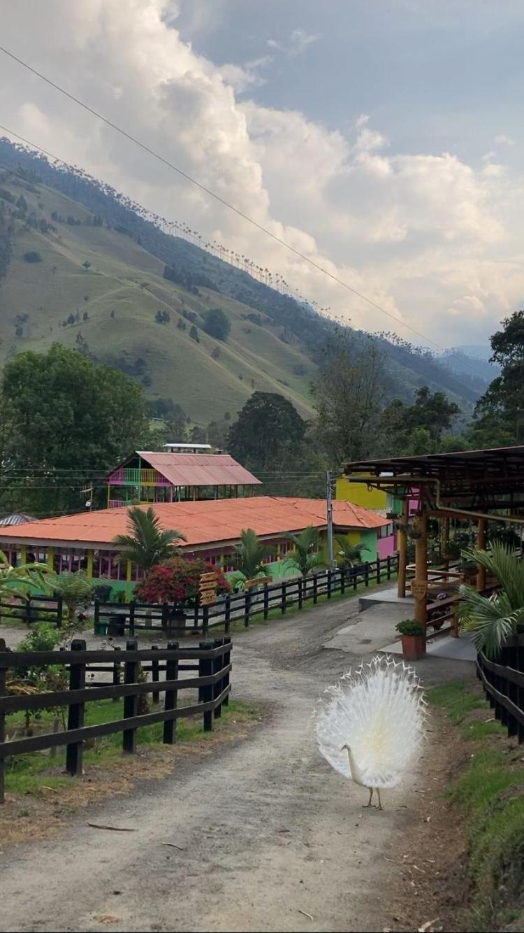 Villacaima - La Martina