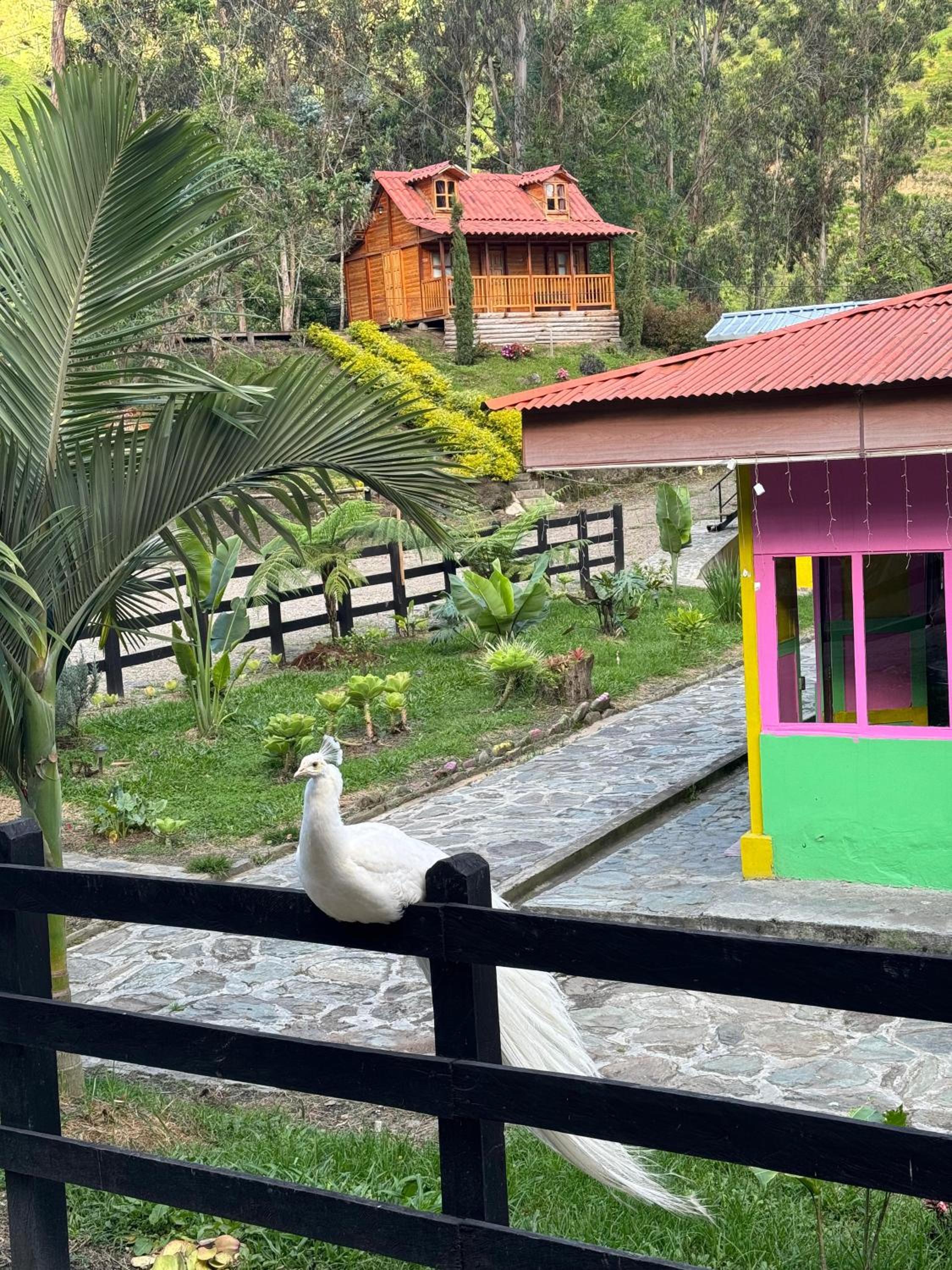 Villacaima - La Martina