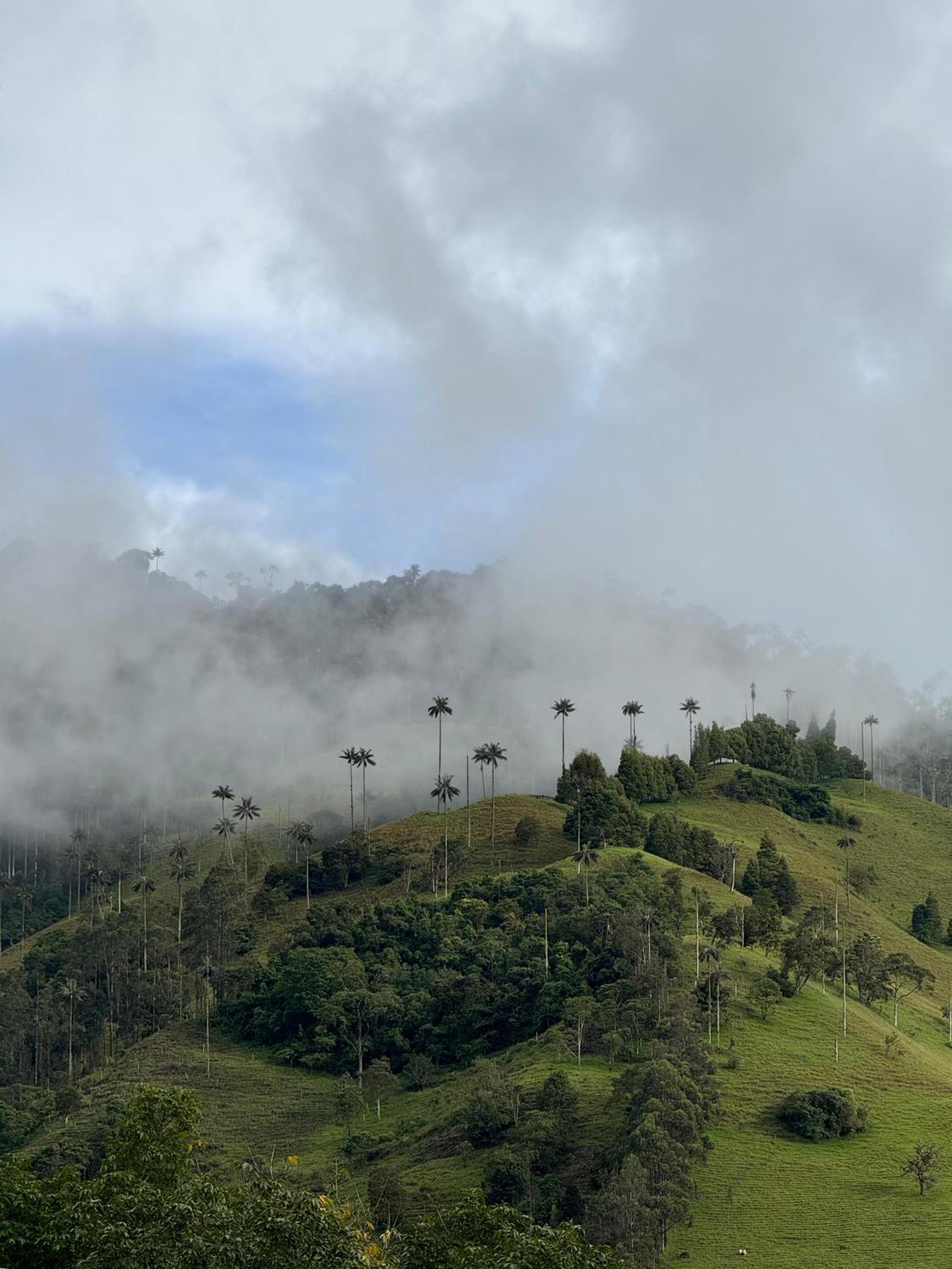 Villacaima - La Martina