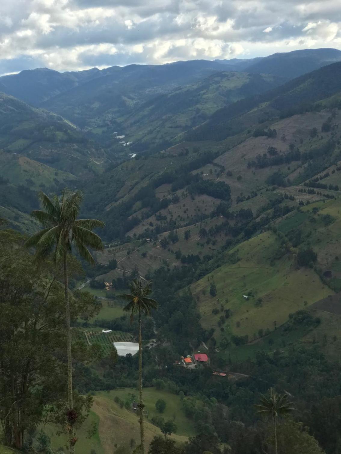 Villacaima - La Martina
