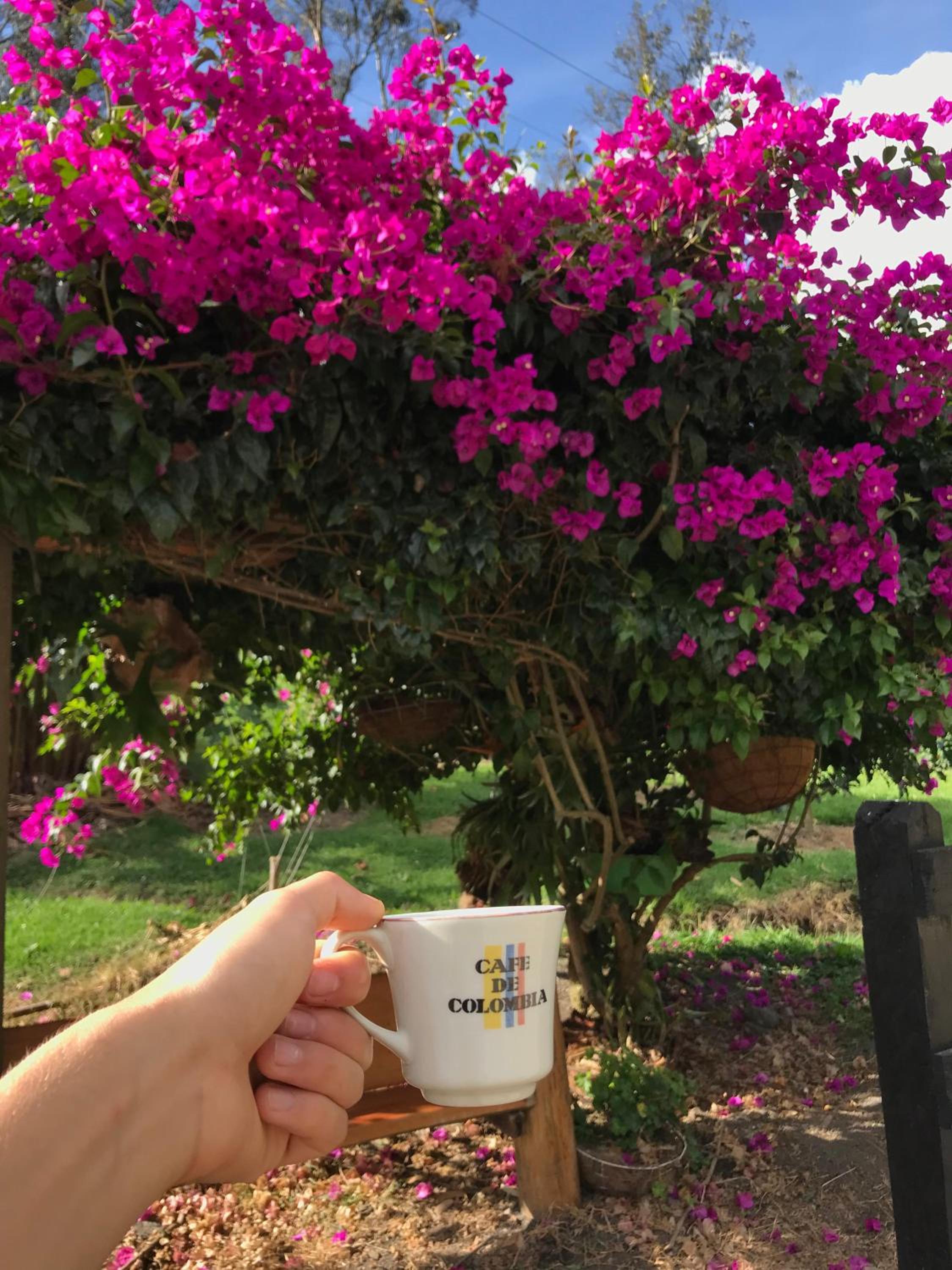 Villacaima - La Martina