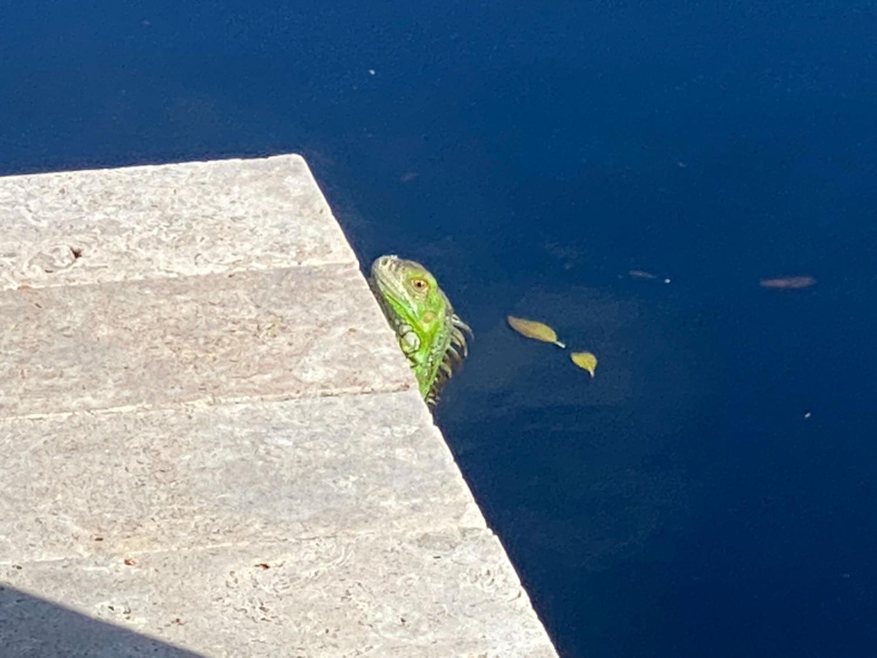 other