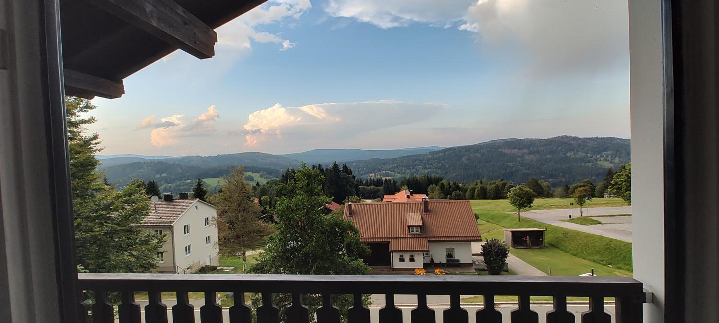 Two Apartaments Almberg - Mitterdorf-Mitterfirmiansreut - Property Image 51