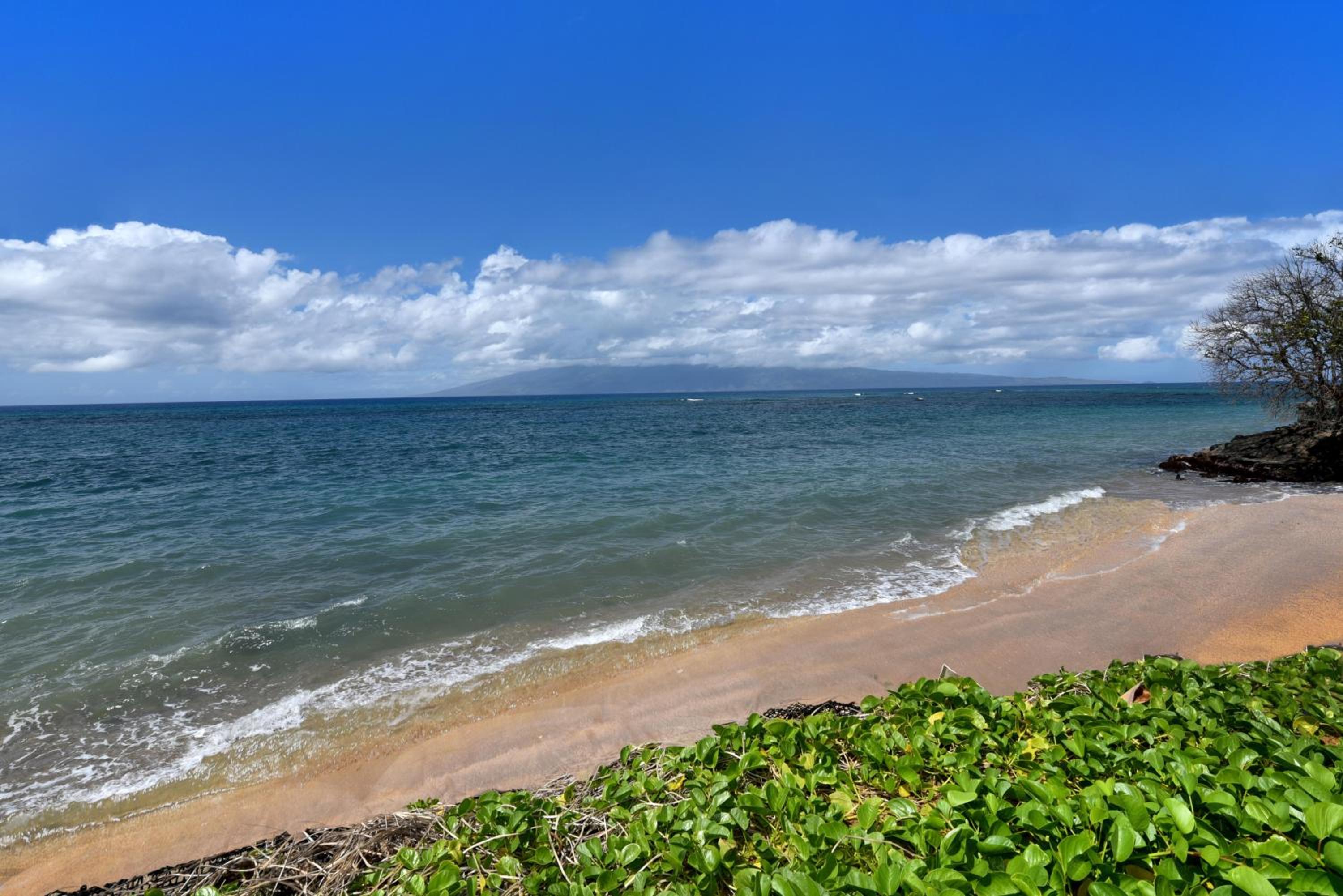Hololani B204 · HL B204 Beachy Chic Updated OceanFront 2BD