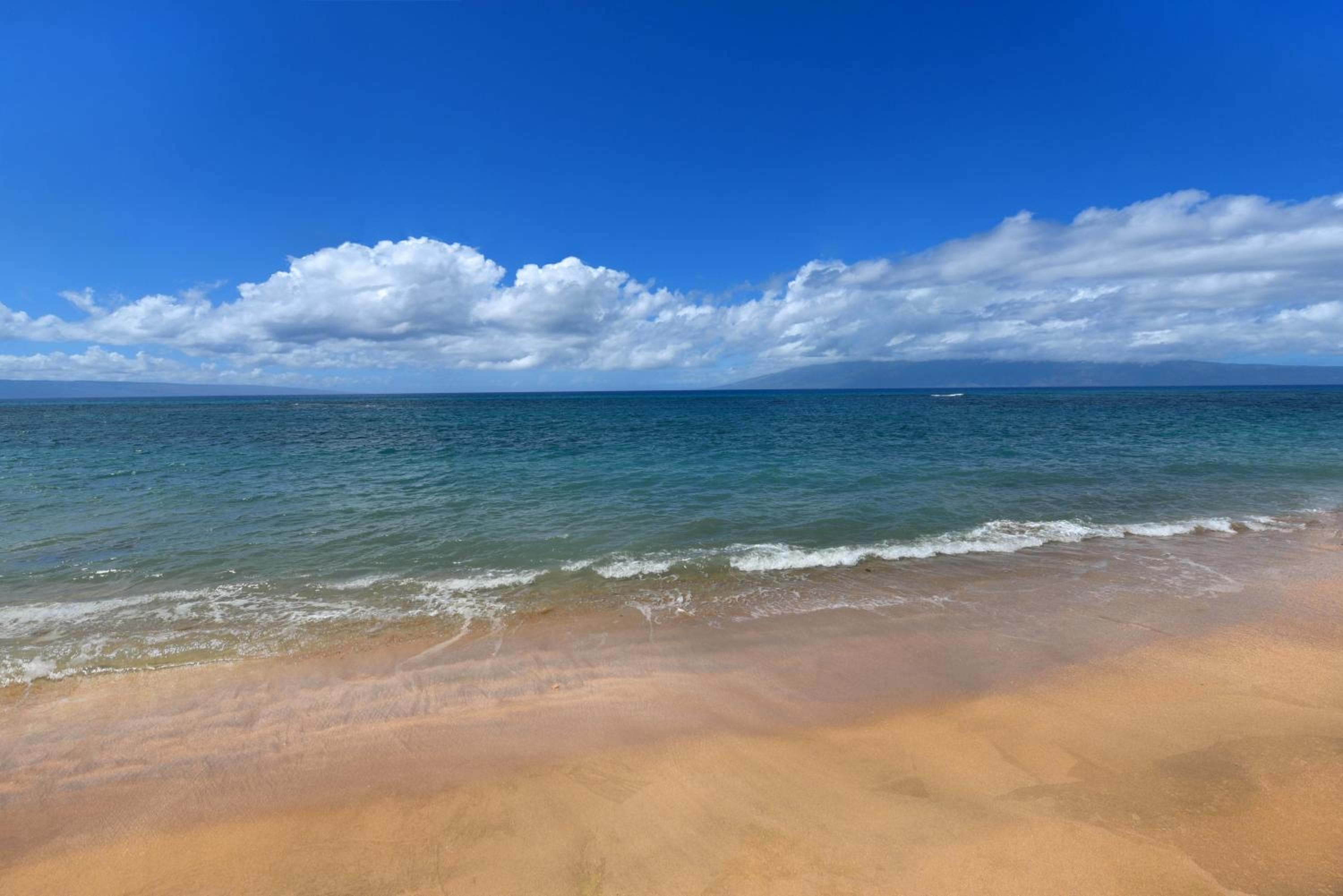 Hololani B204 · HL B204 Beachy Chic Updated OceanFront 2BD