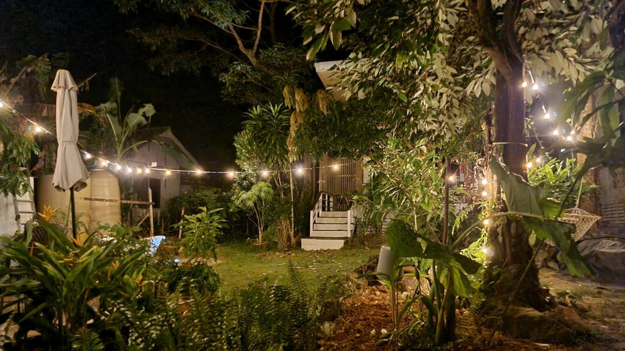 Beach Jungle view 2