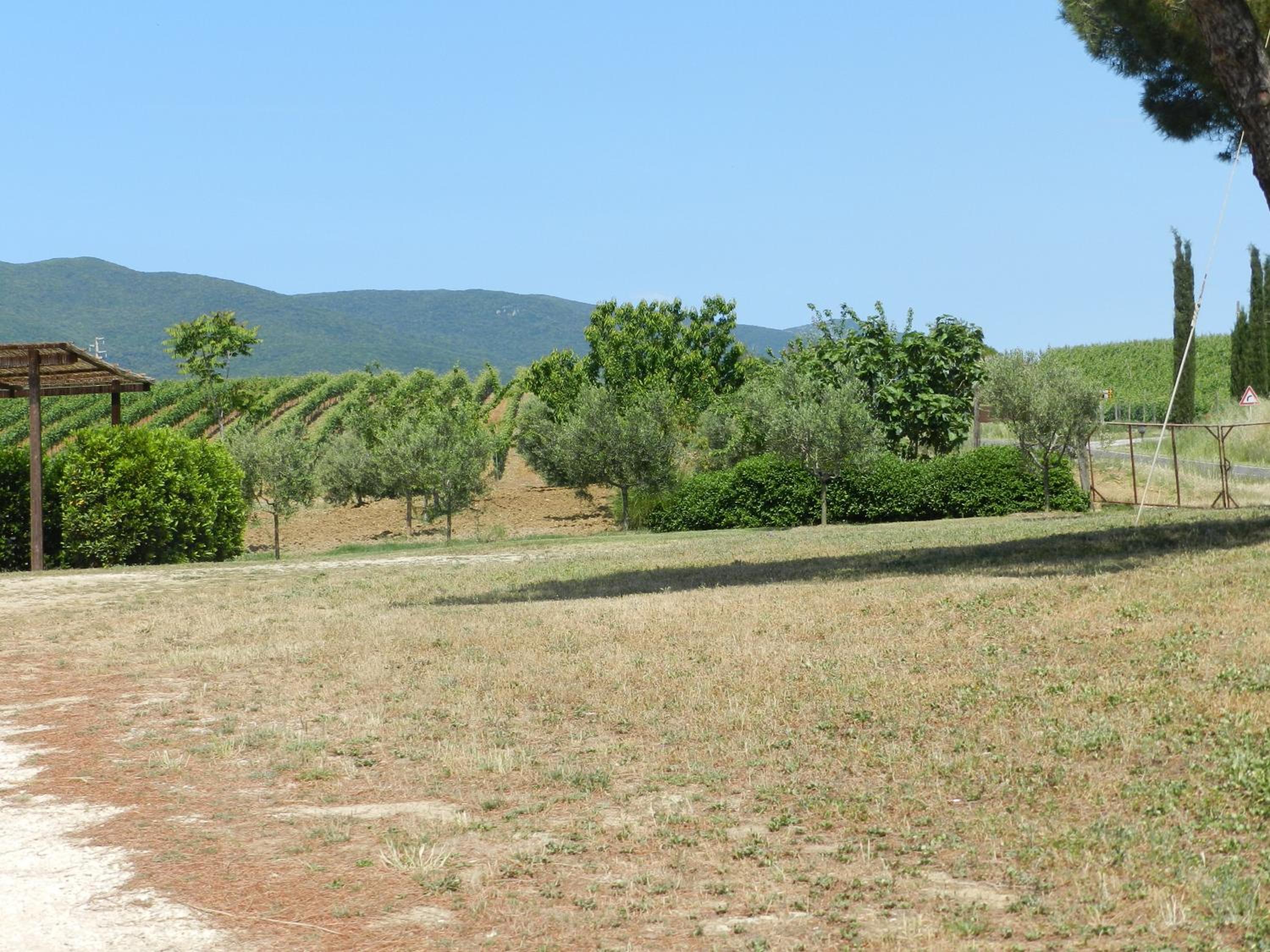 Agriturismo Severini