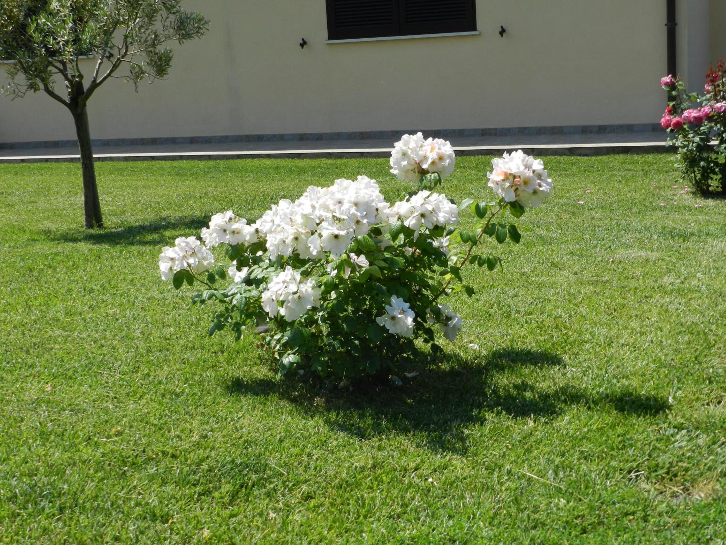 Agriturismo Severini