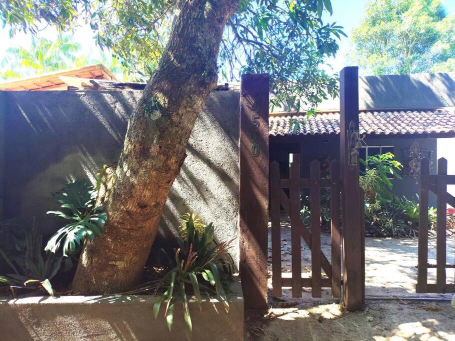 Casa no lago de Javary