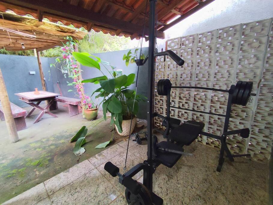 Casa no lago de Javary