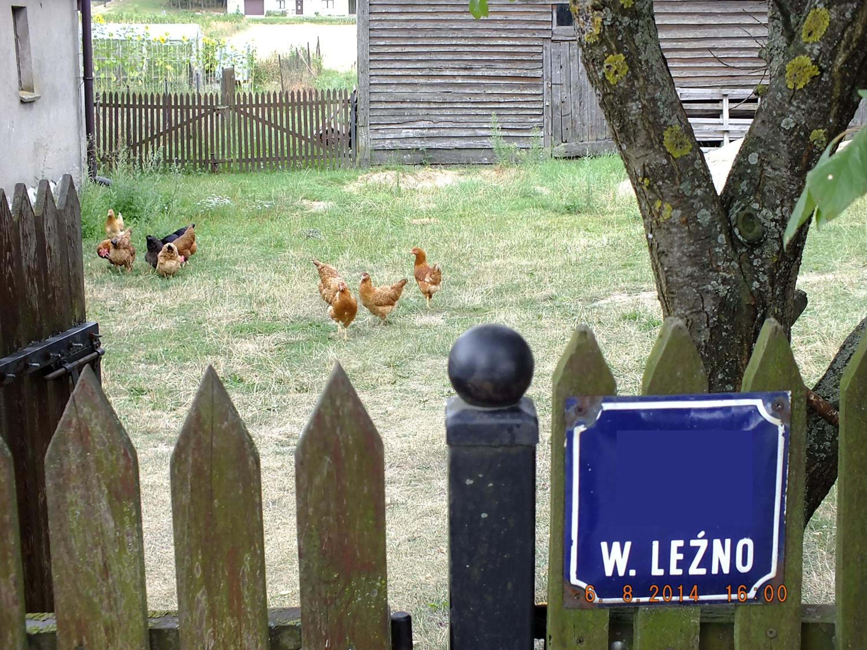 Agroturystyka Wielkie Leźno