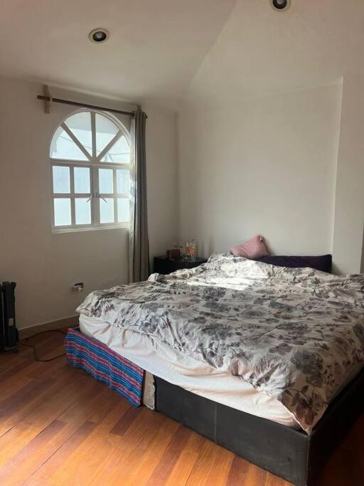 Photo 41