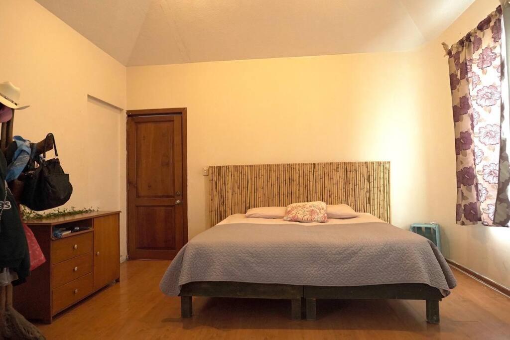 Photo 42