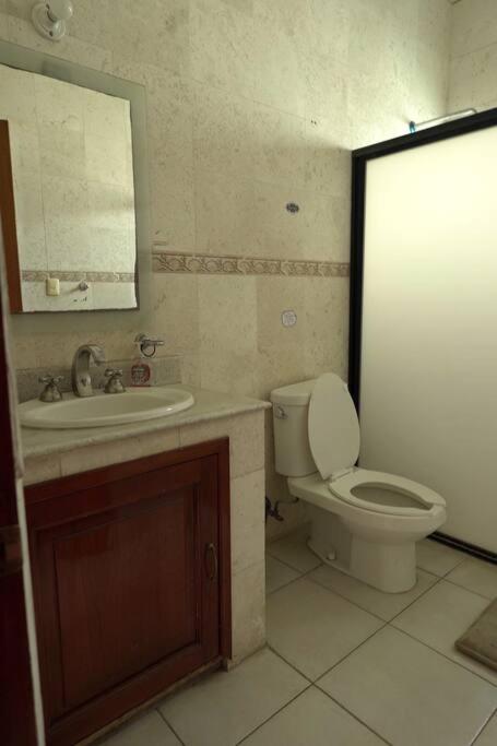 Photo 44