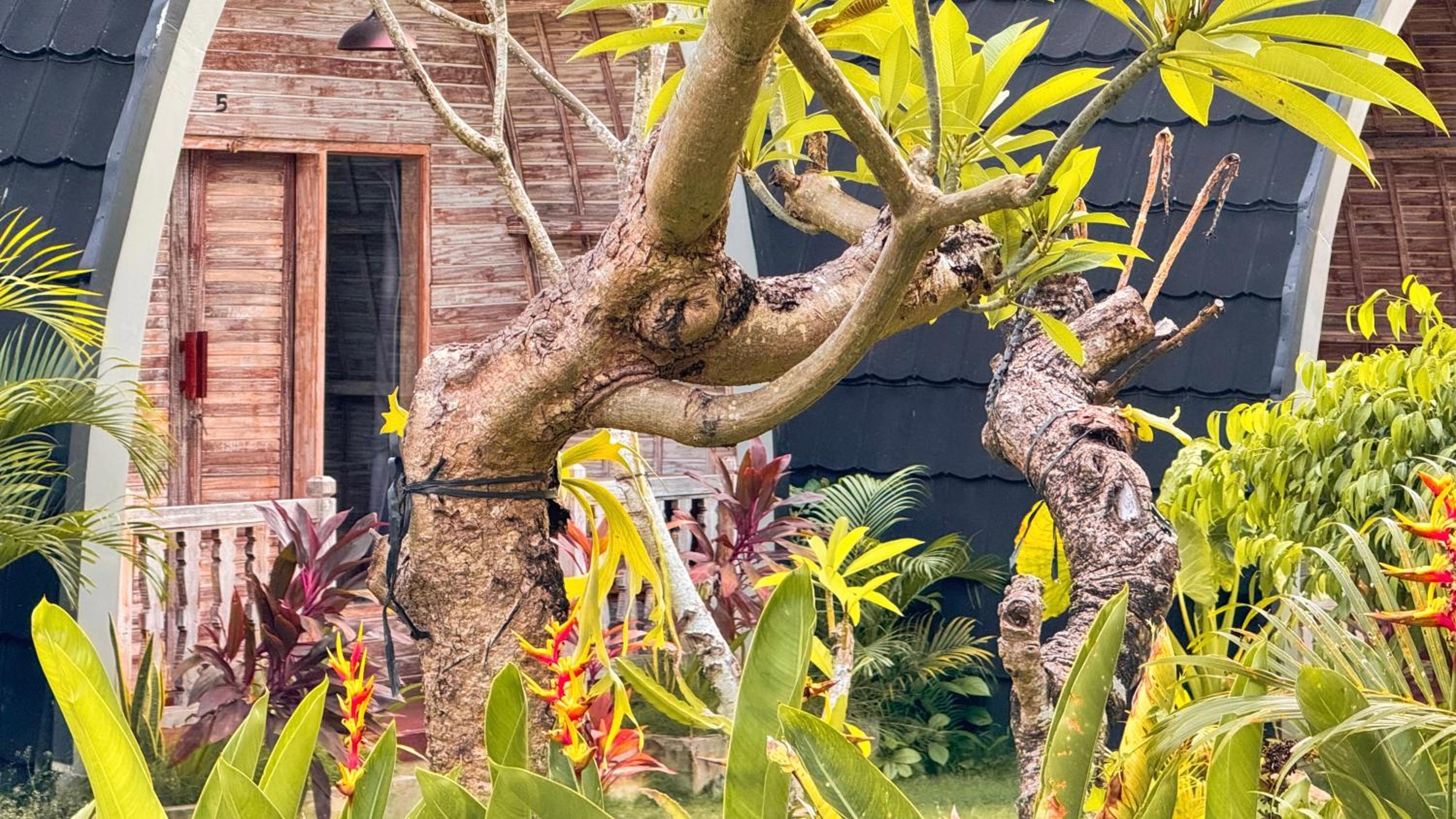 Bungalow Surya Jungle